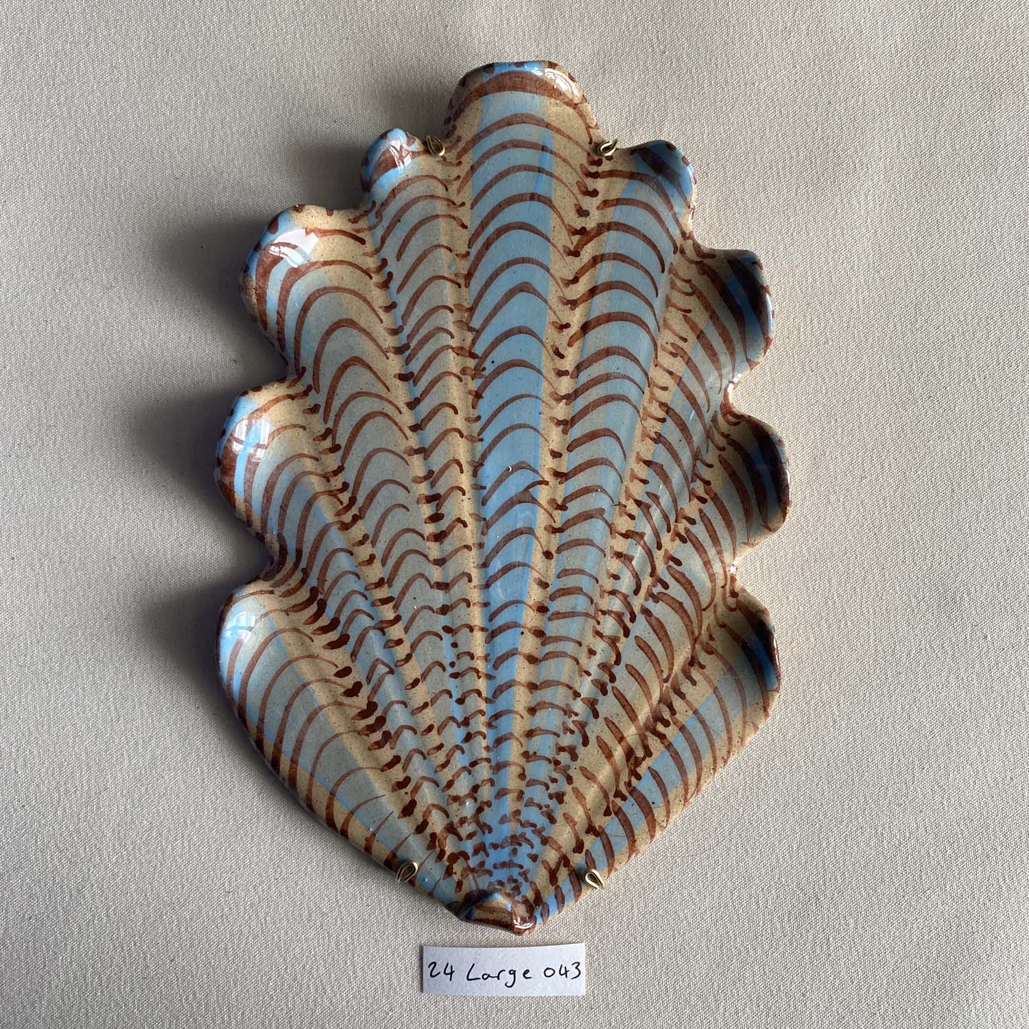 24 large shell 043