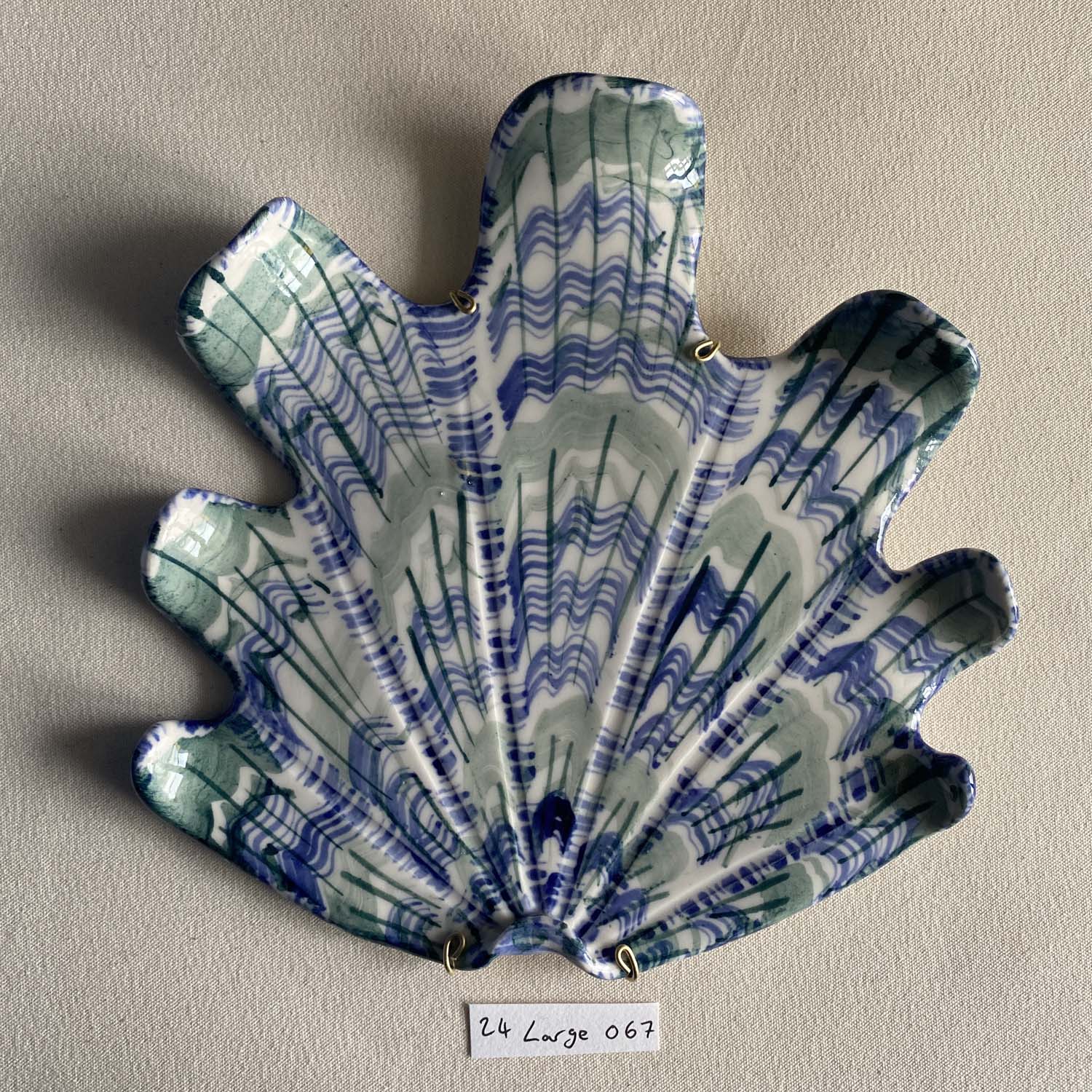 24 large shell 067