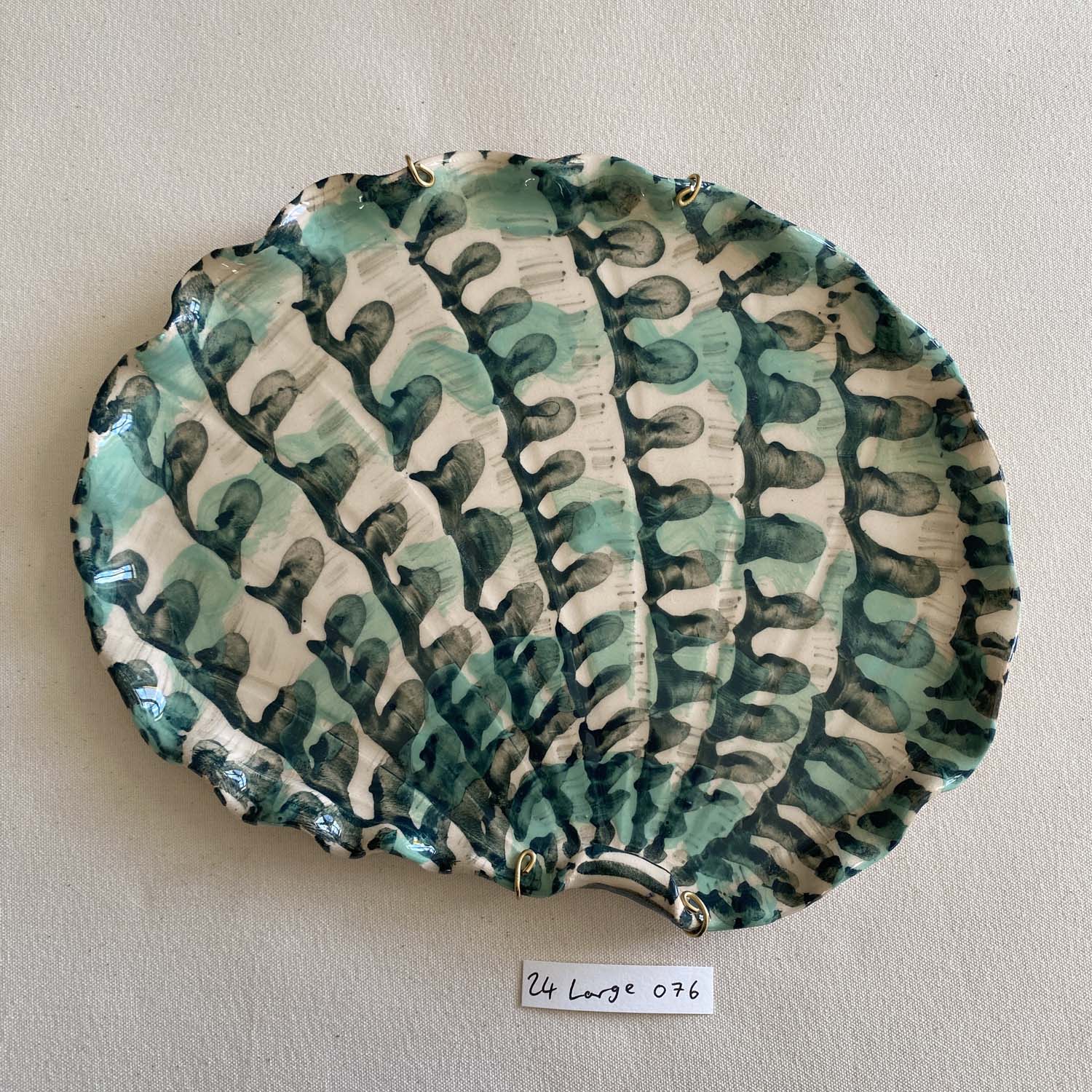 24 large shell 076