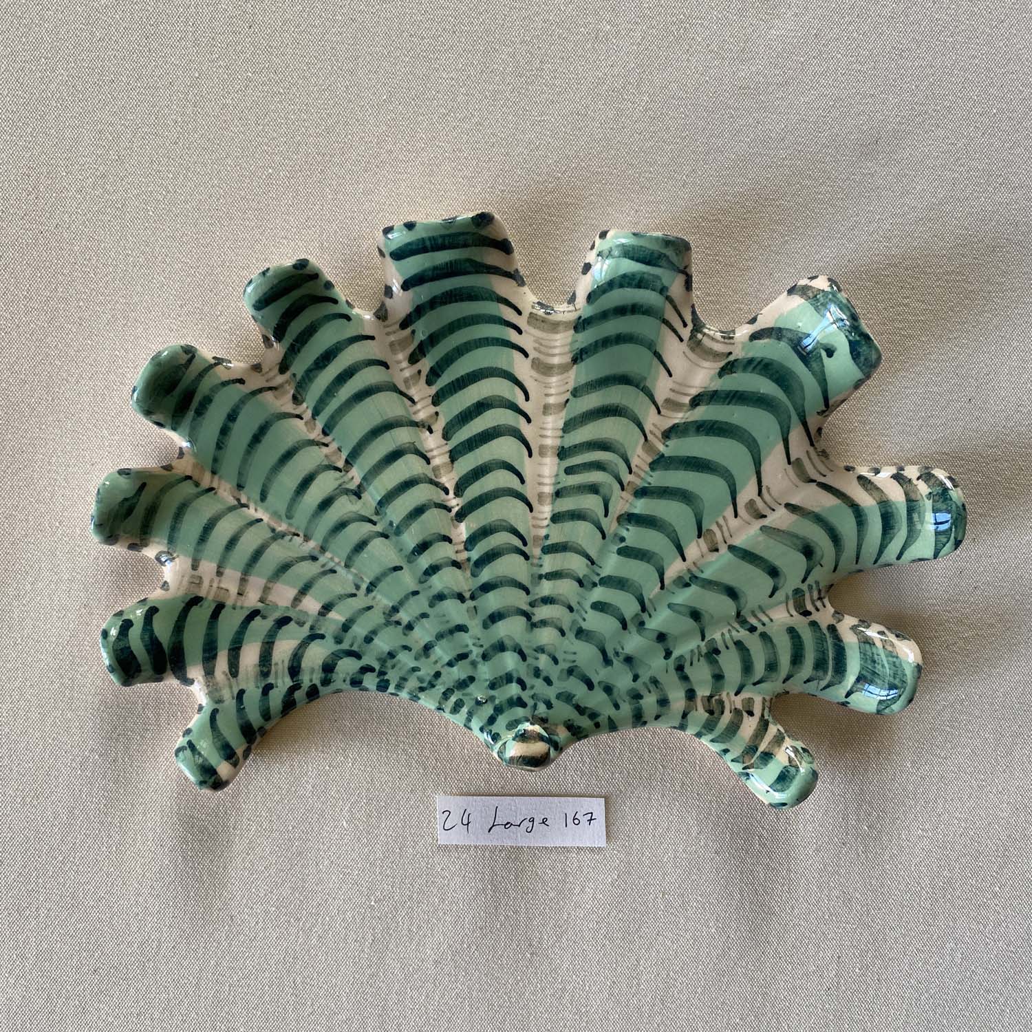 24 large shell 167