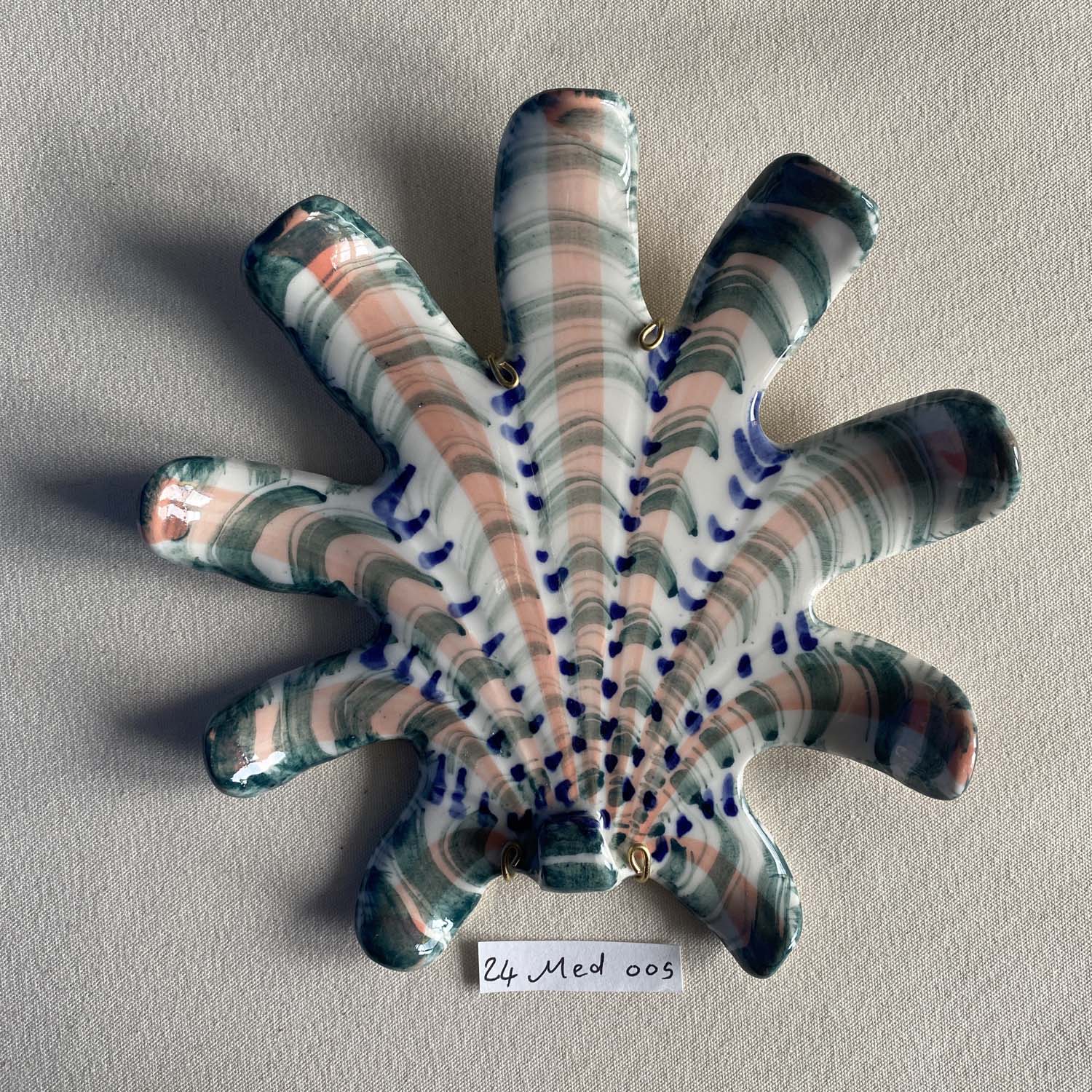 24 medium shell 005