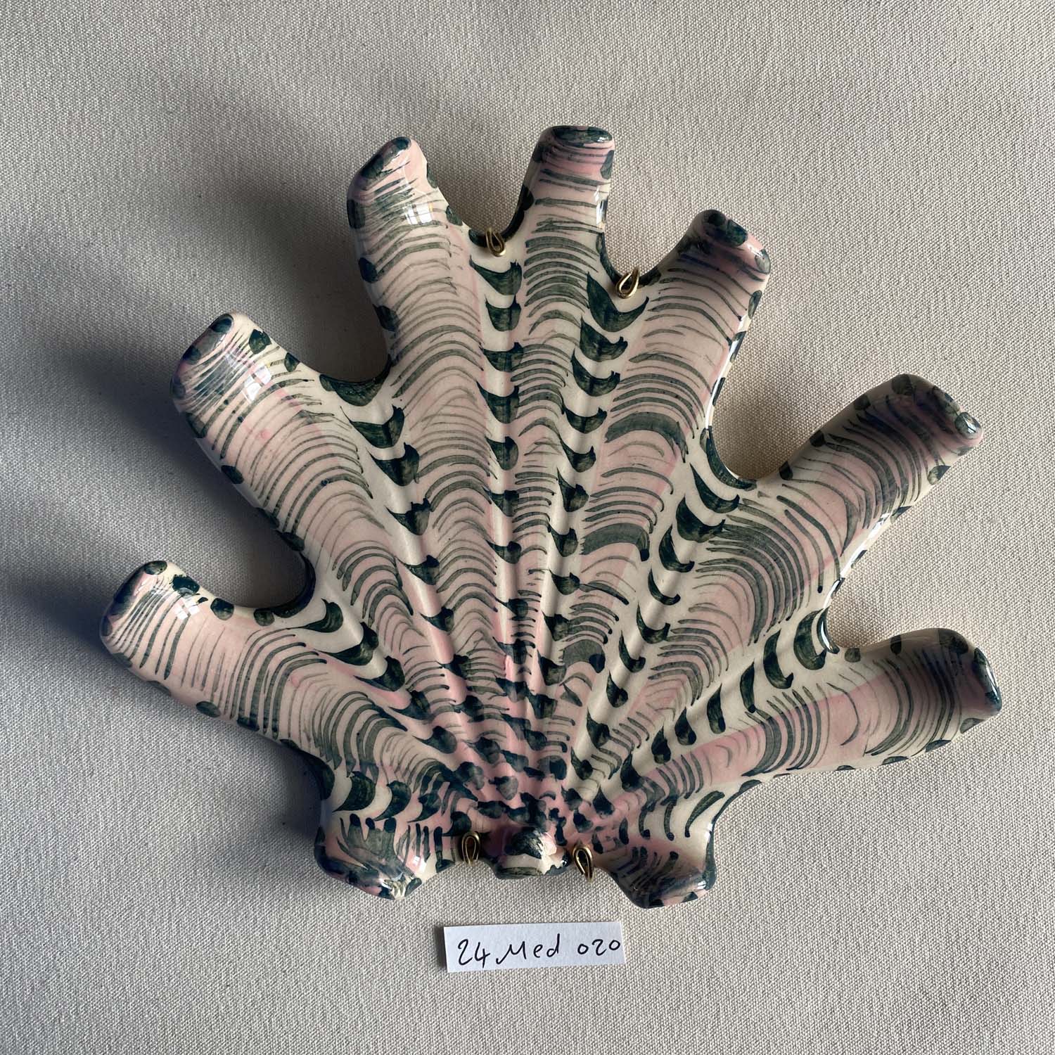 24 medium shell 020