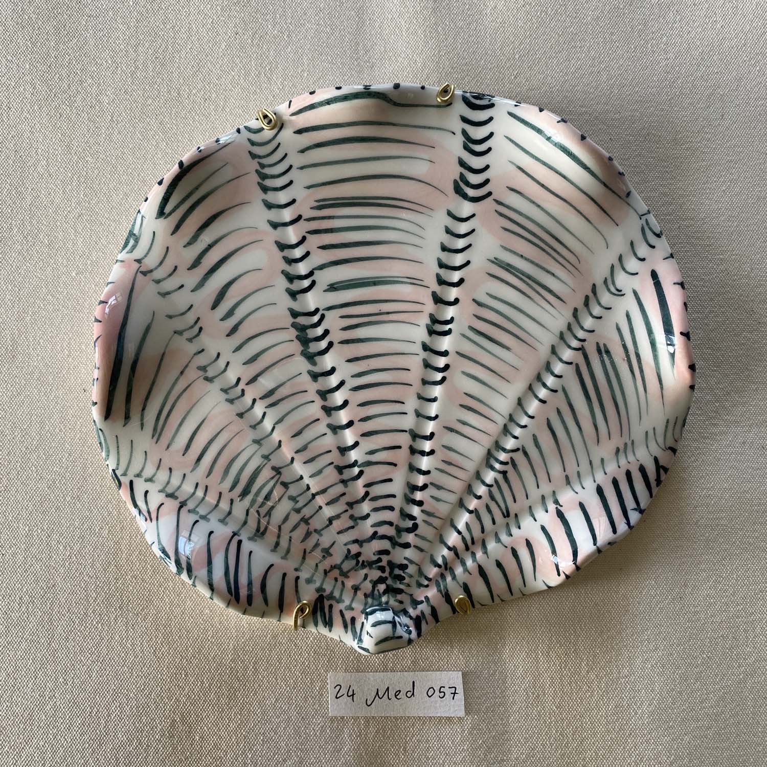 24 medium shell 057