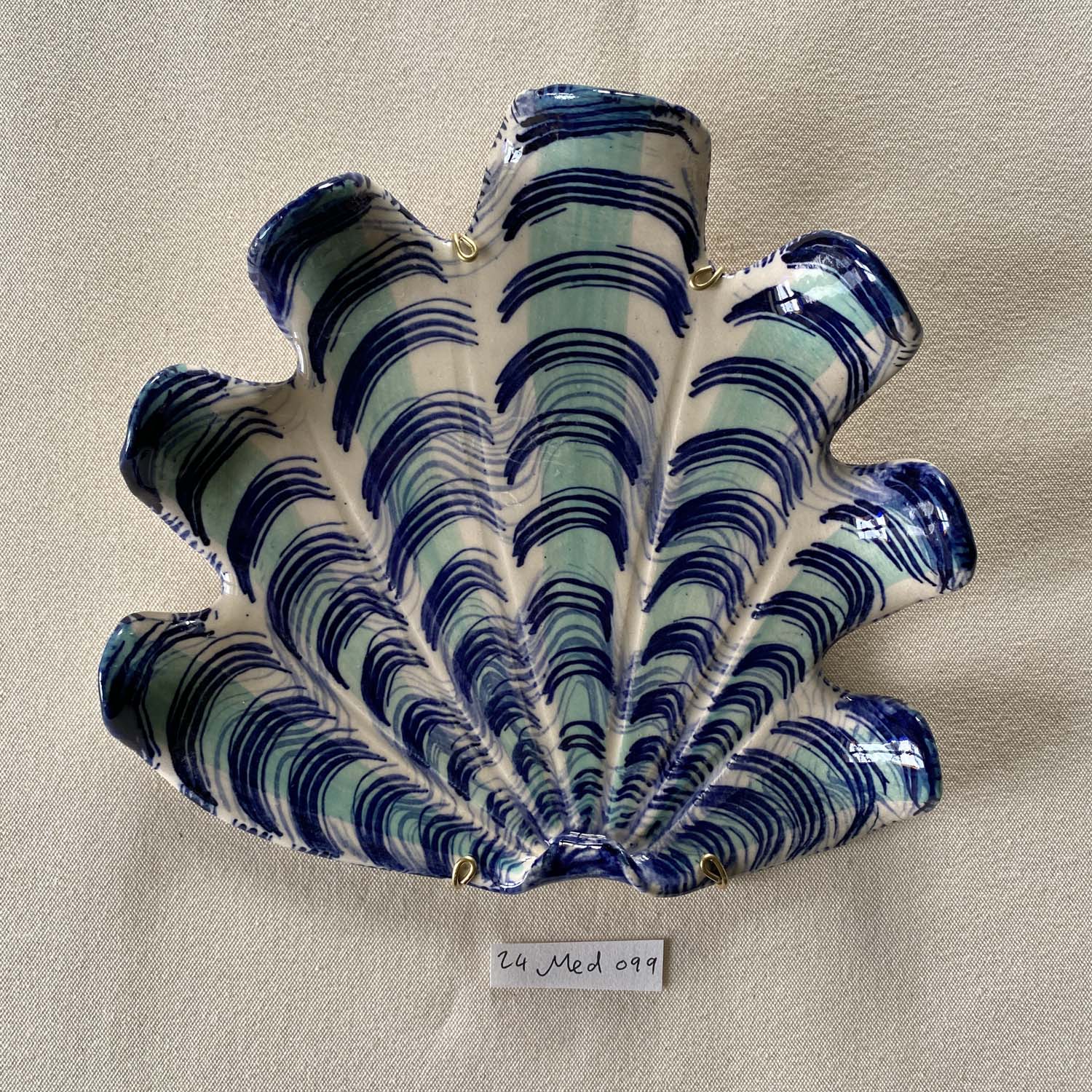 24 medium shell 099