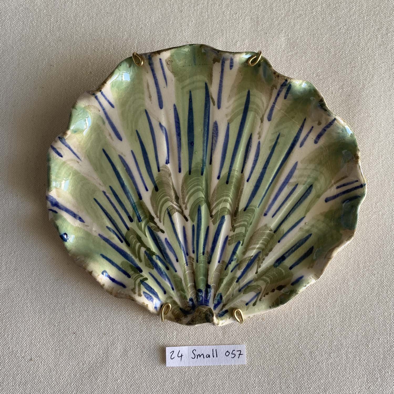24 small shell 057