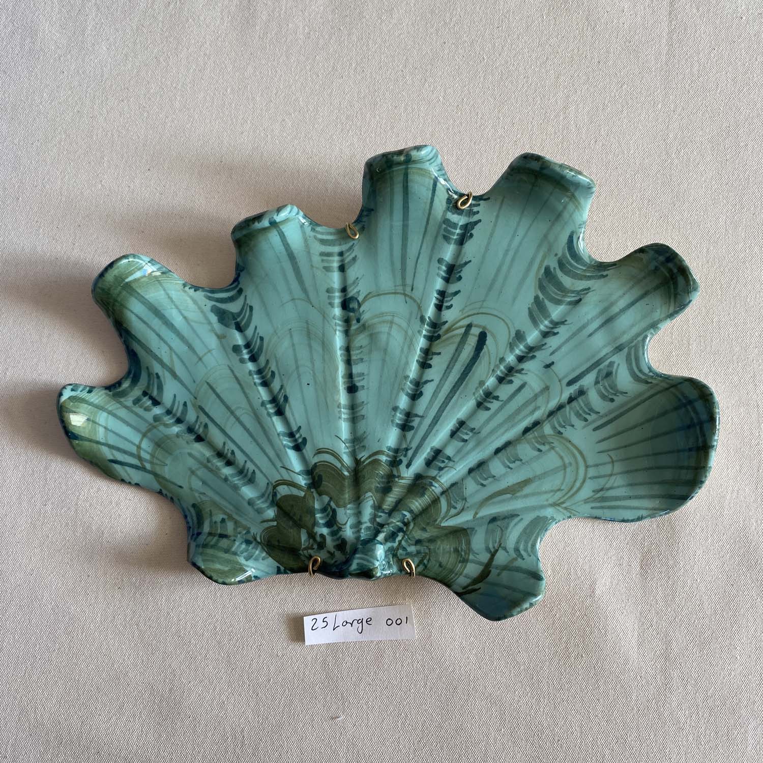 25 large shell 001