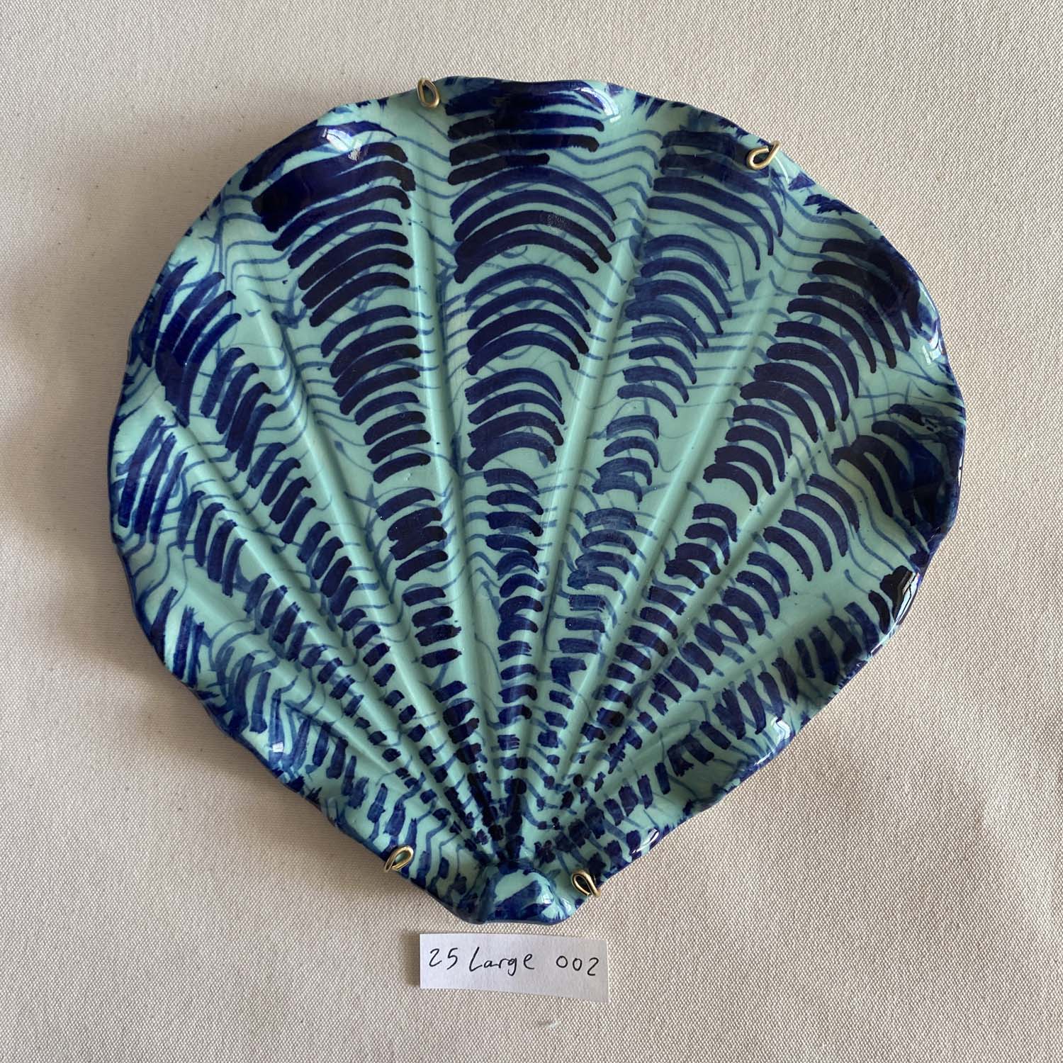 25 large shell 002