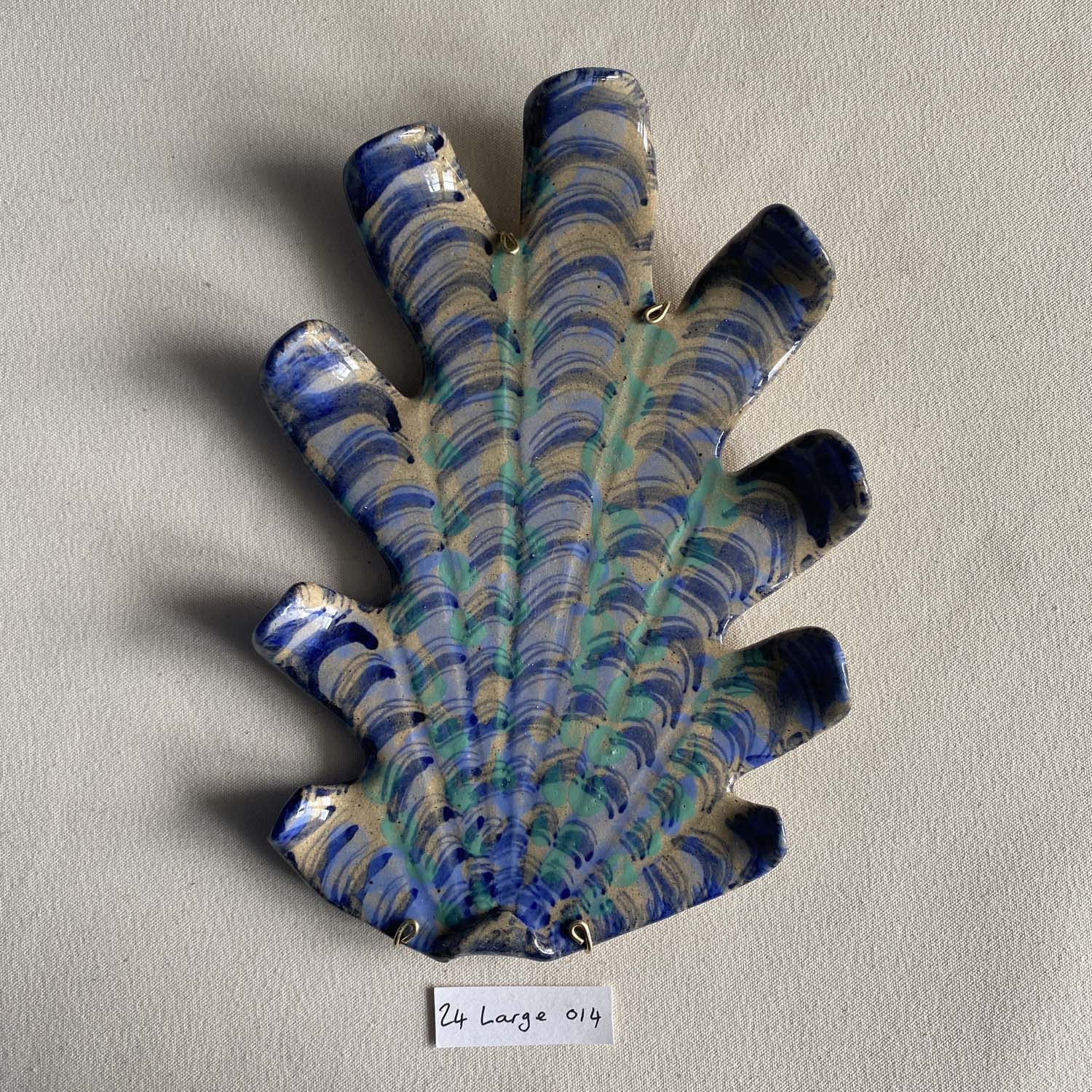 24 large shell 014
