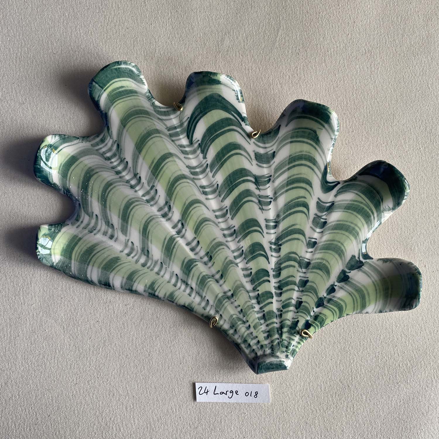 24 large shell 018