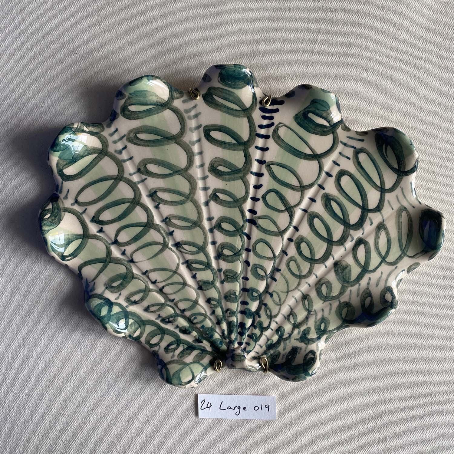 24 large shell 019