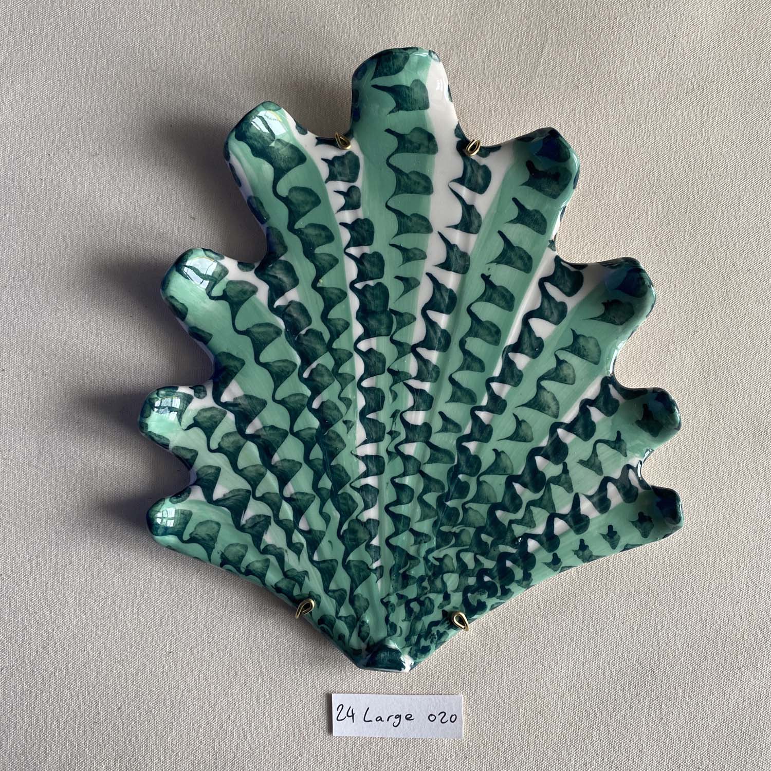 24 large shell 020