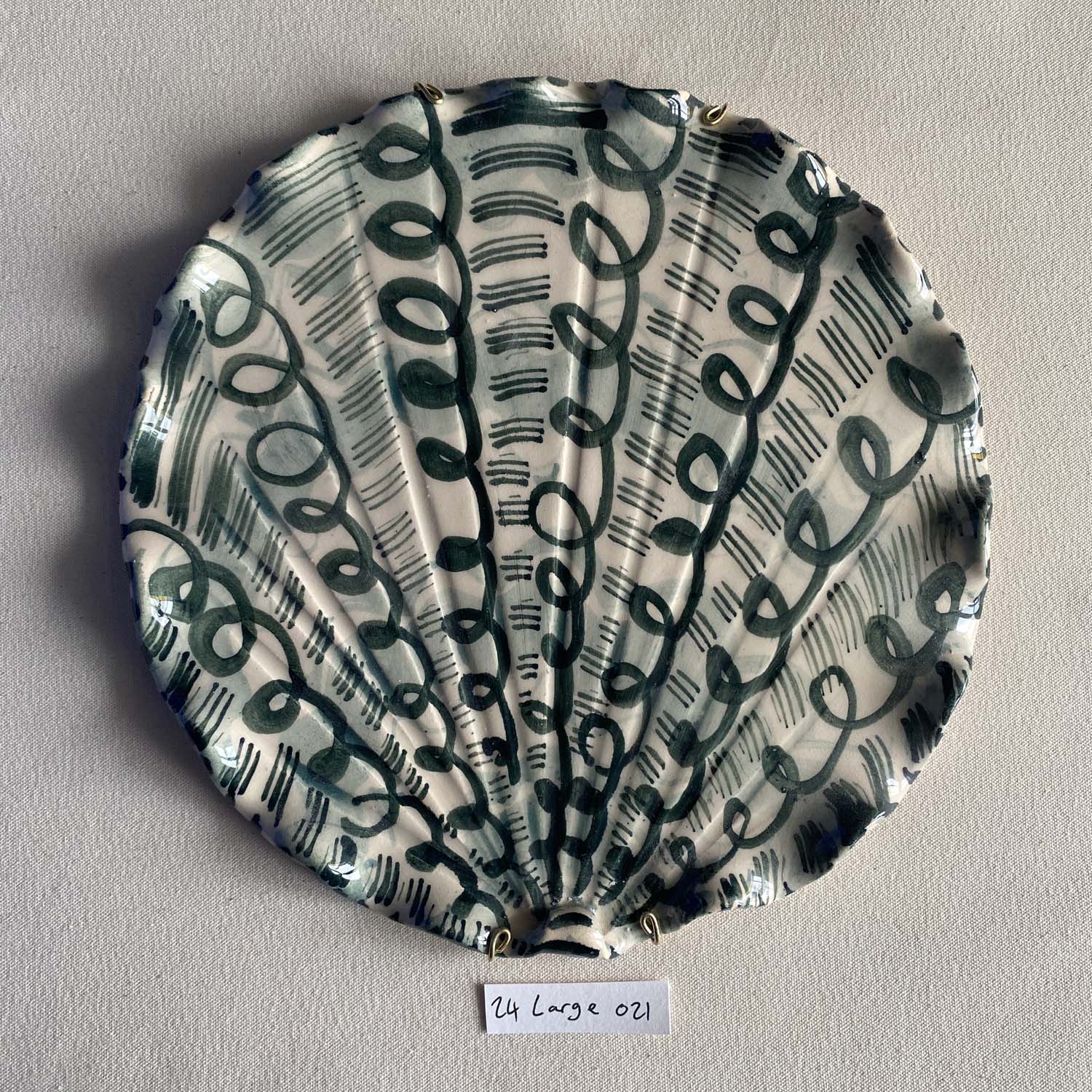24 large shell 021