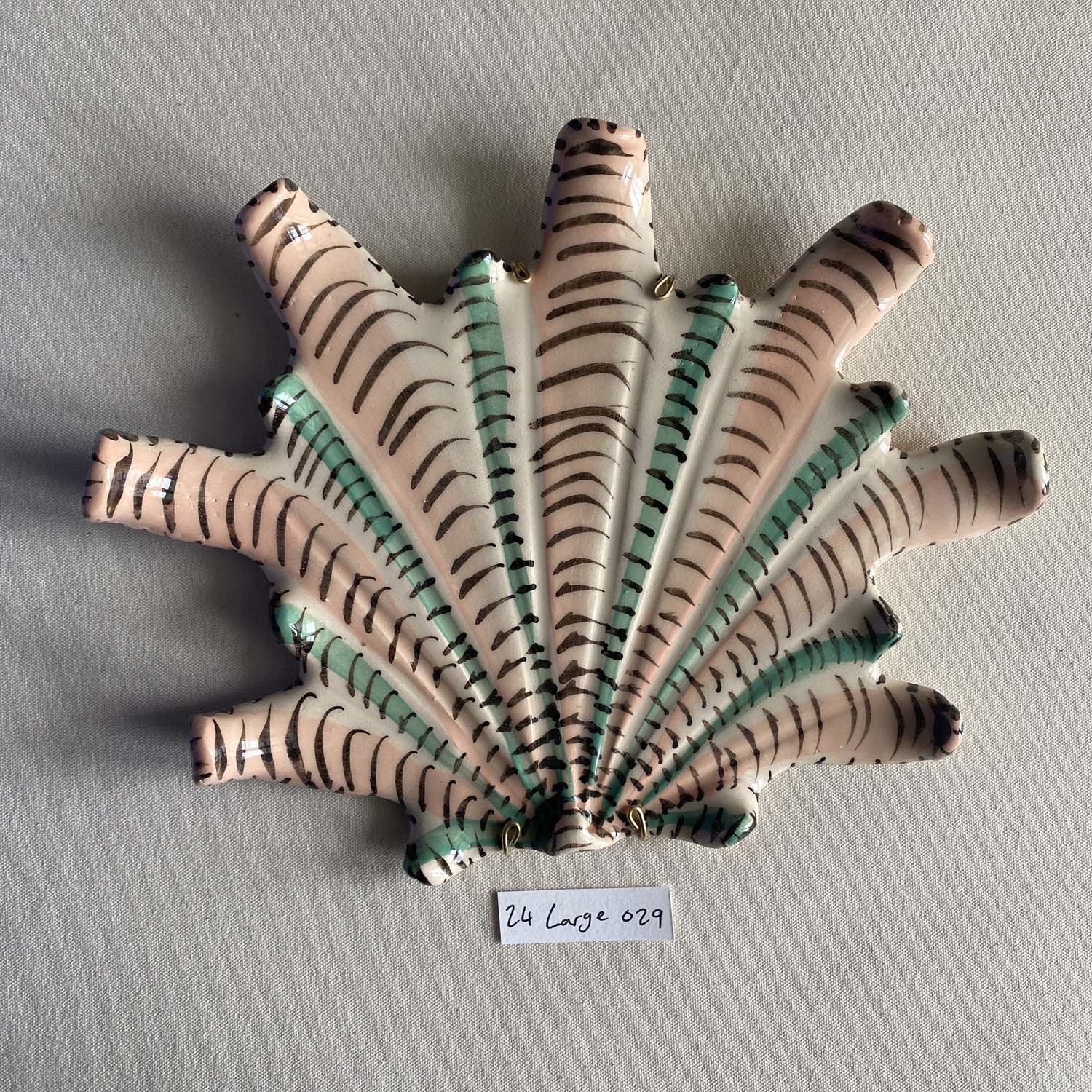 24 large shell 029