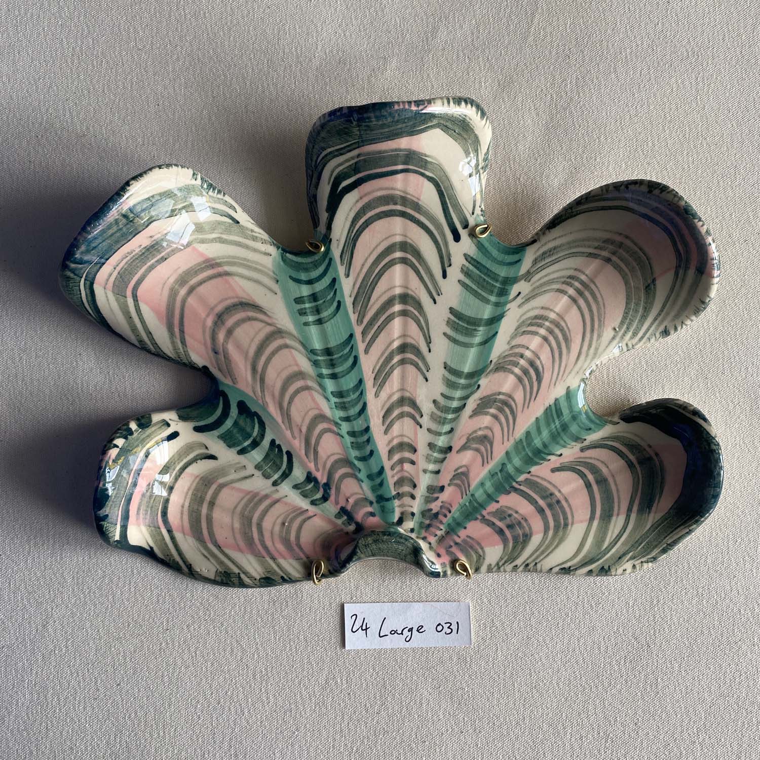 24 large shell 031