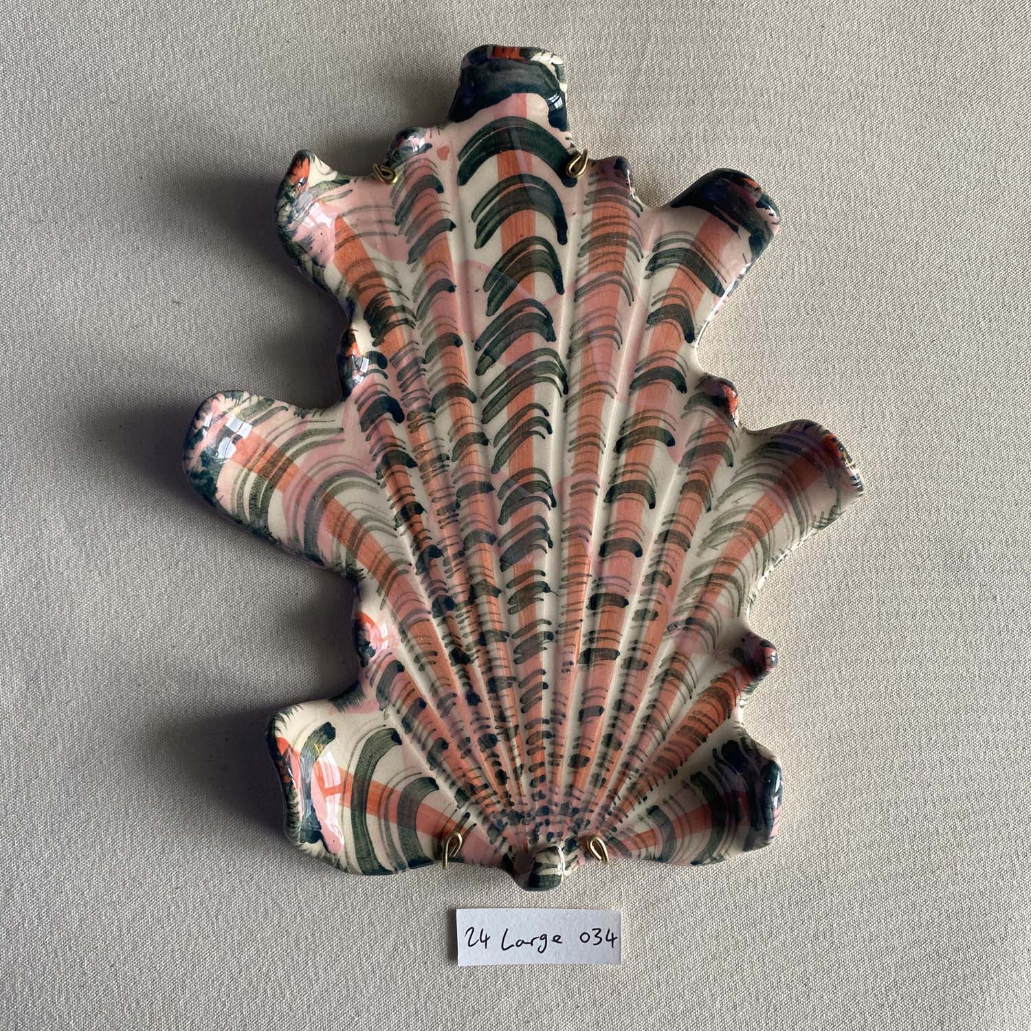 24 large shell 034