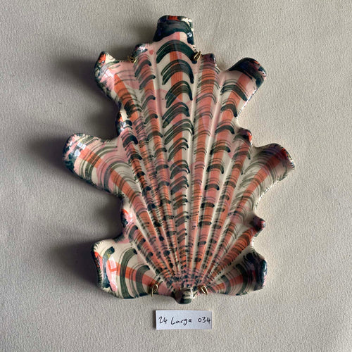 24 large shell 034