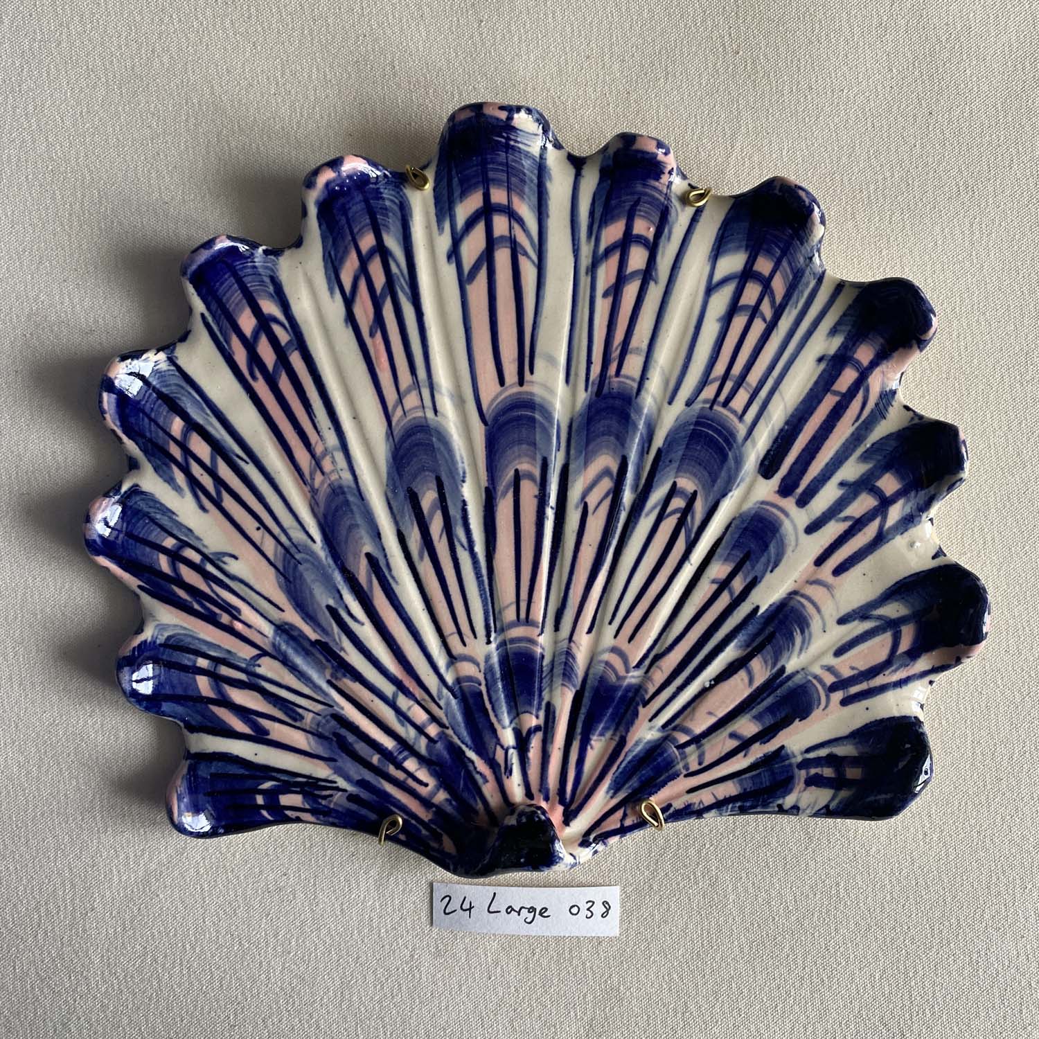 24 large shell 038