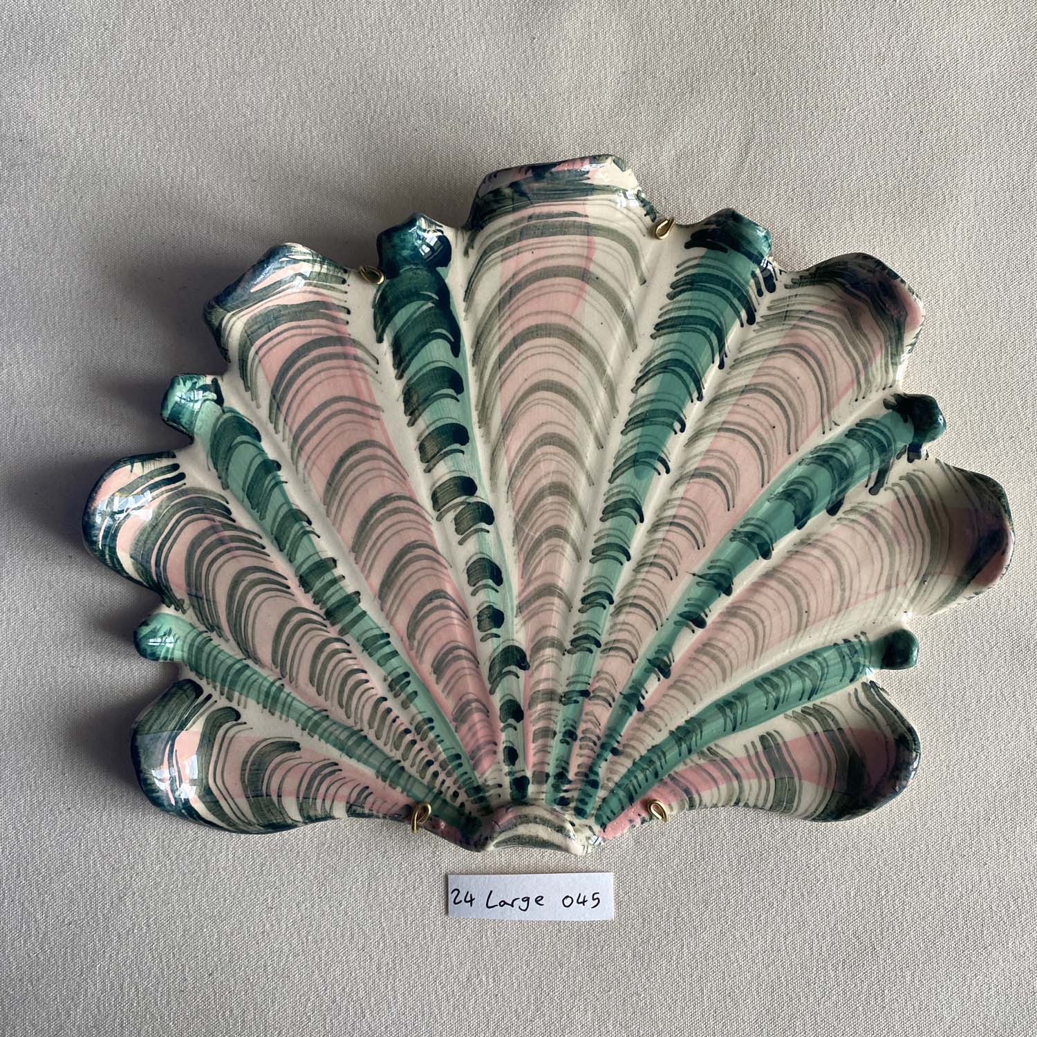 24 large shell 045