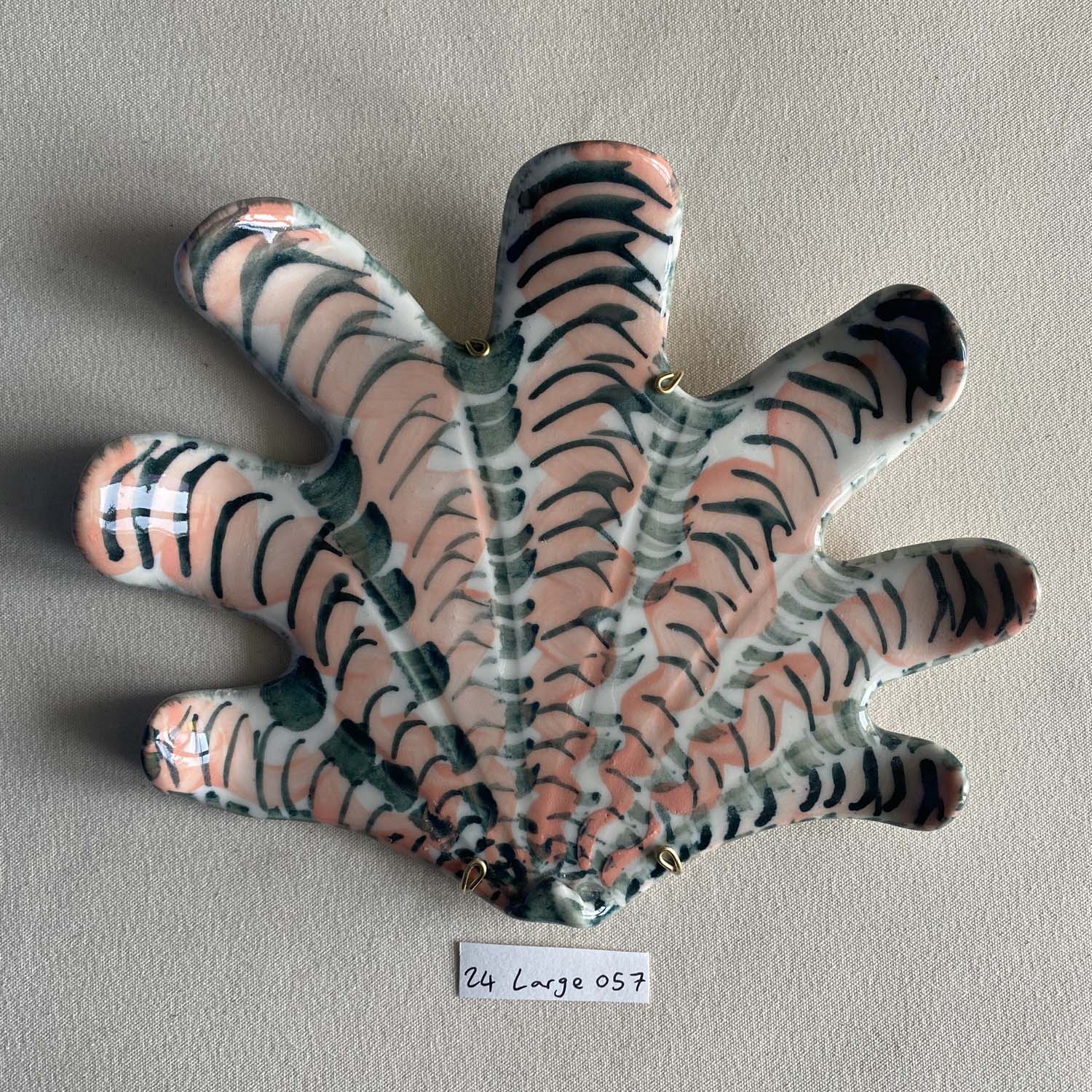 24 large shell 057