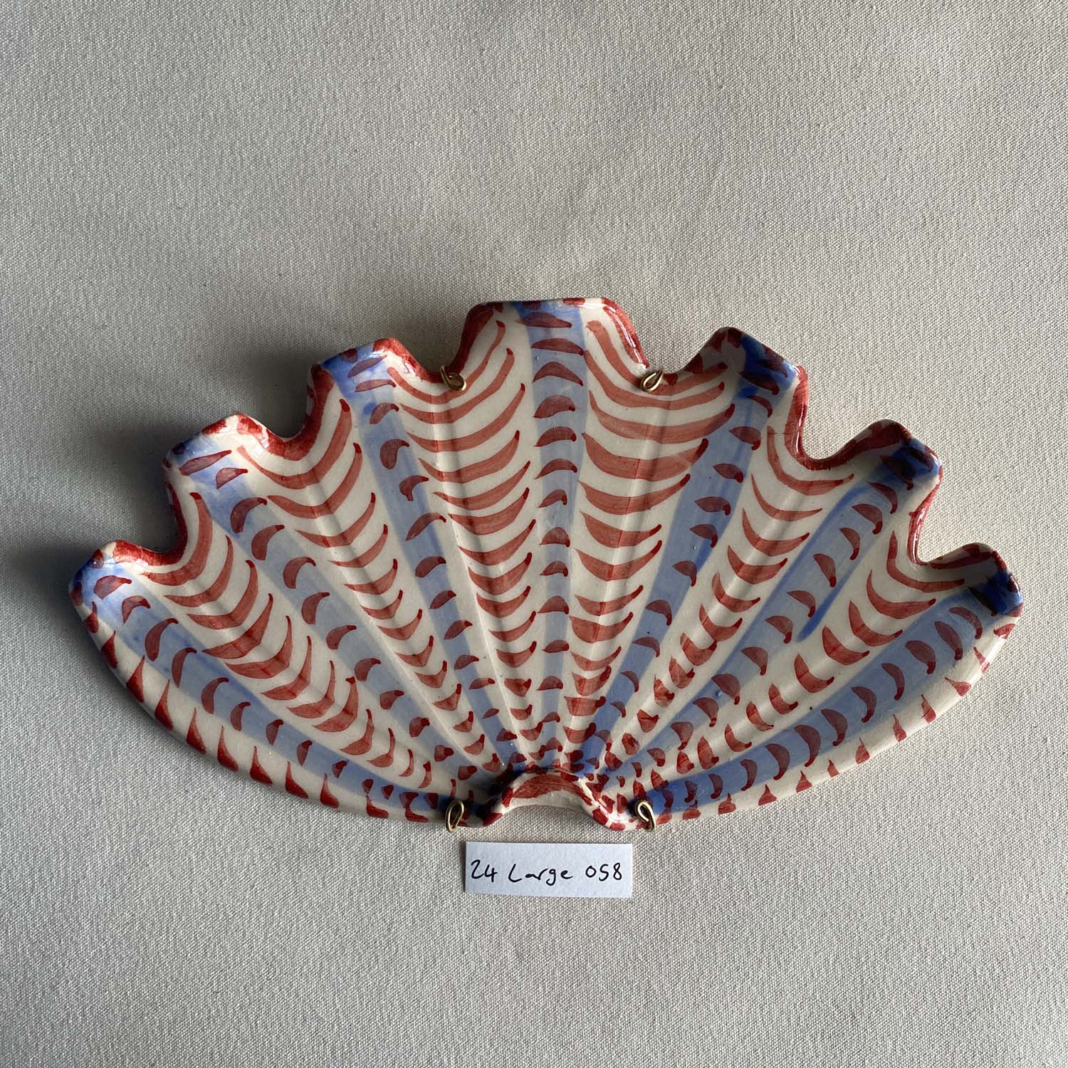 24 large shell 058