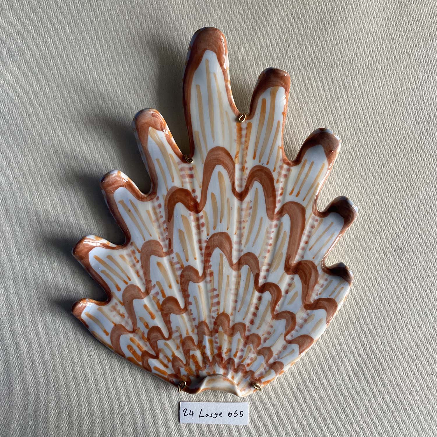 24 large shell 065