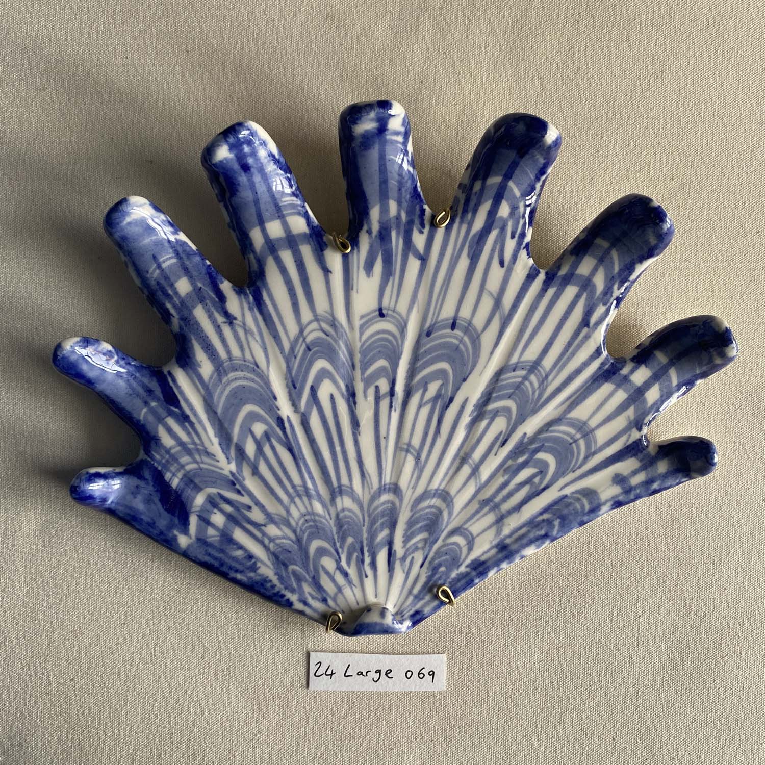 24 large shell 069