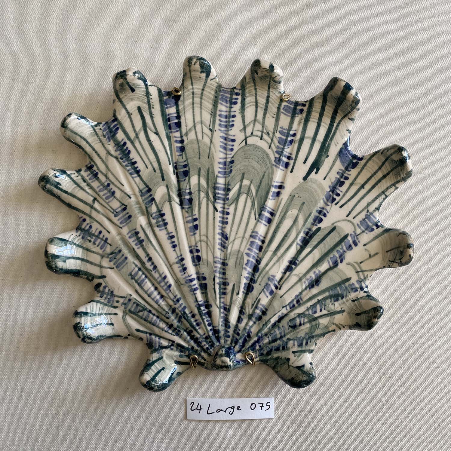 24 large shell 075