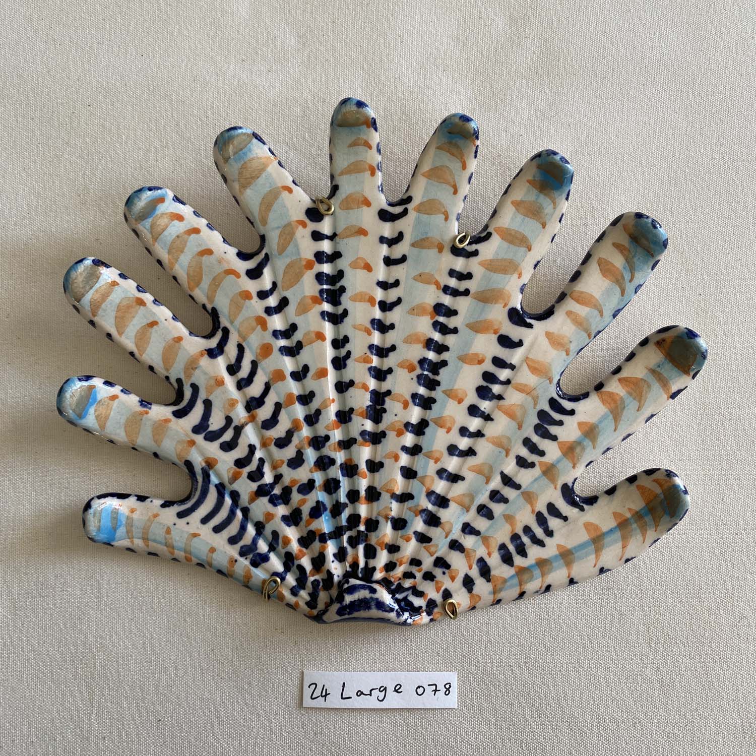 24 large shell 078