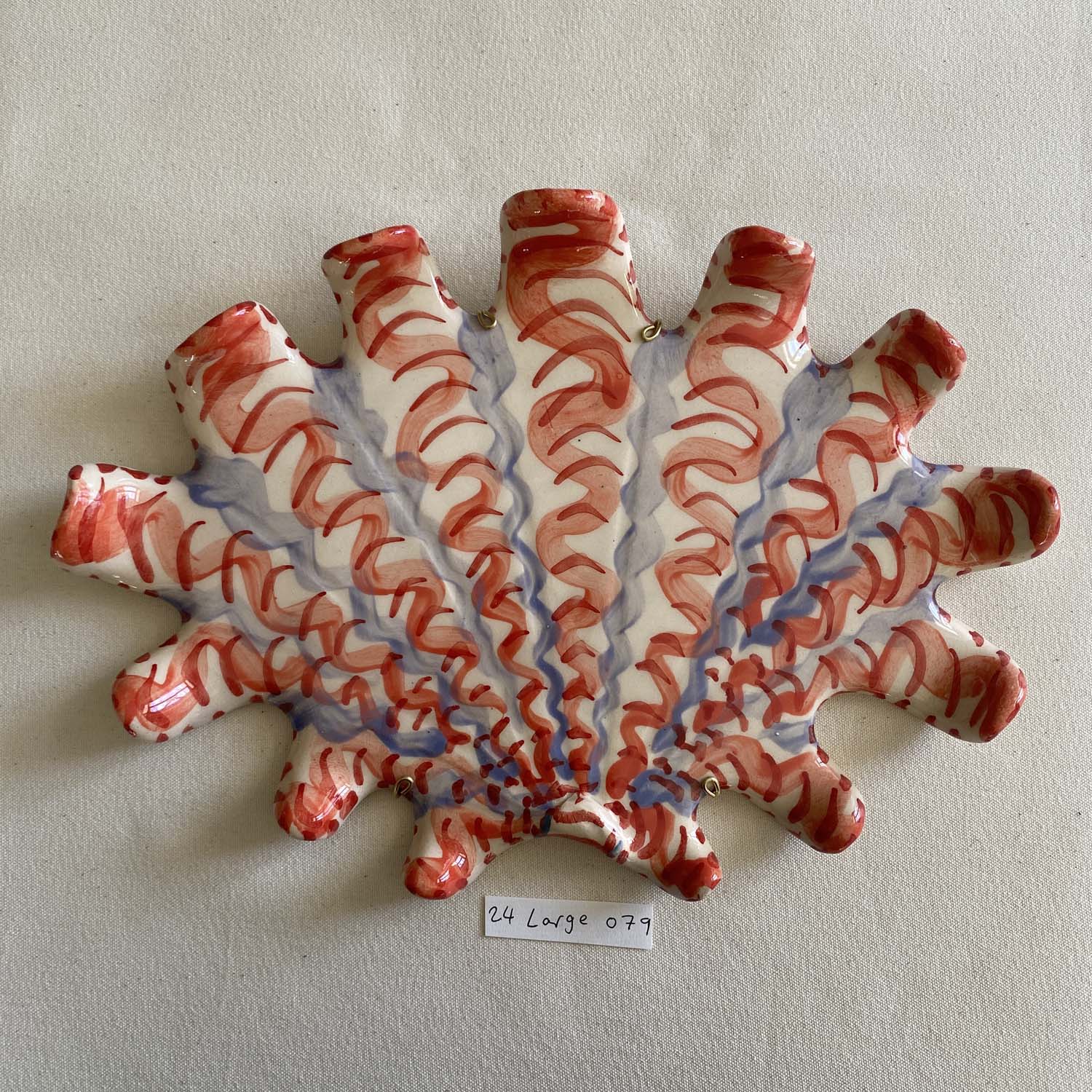 24 large shell 079