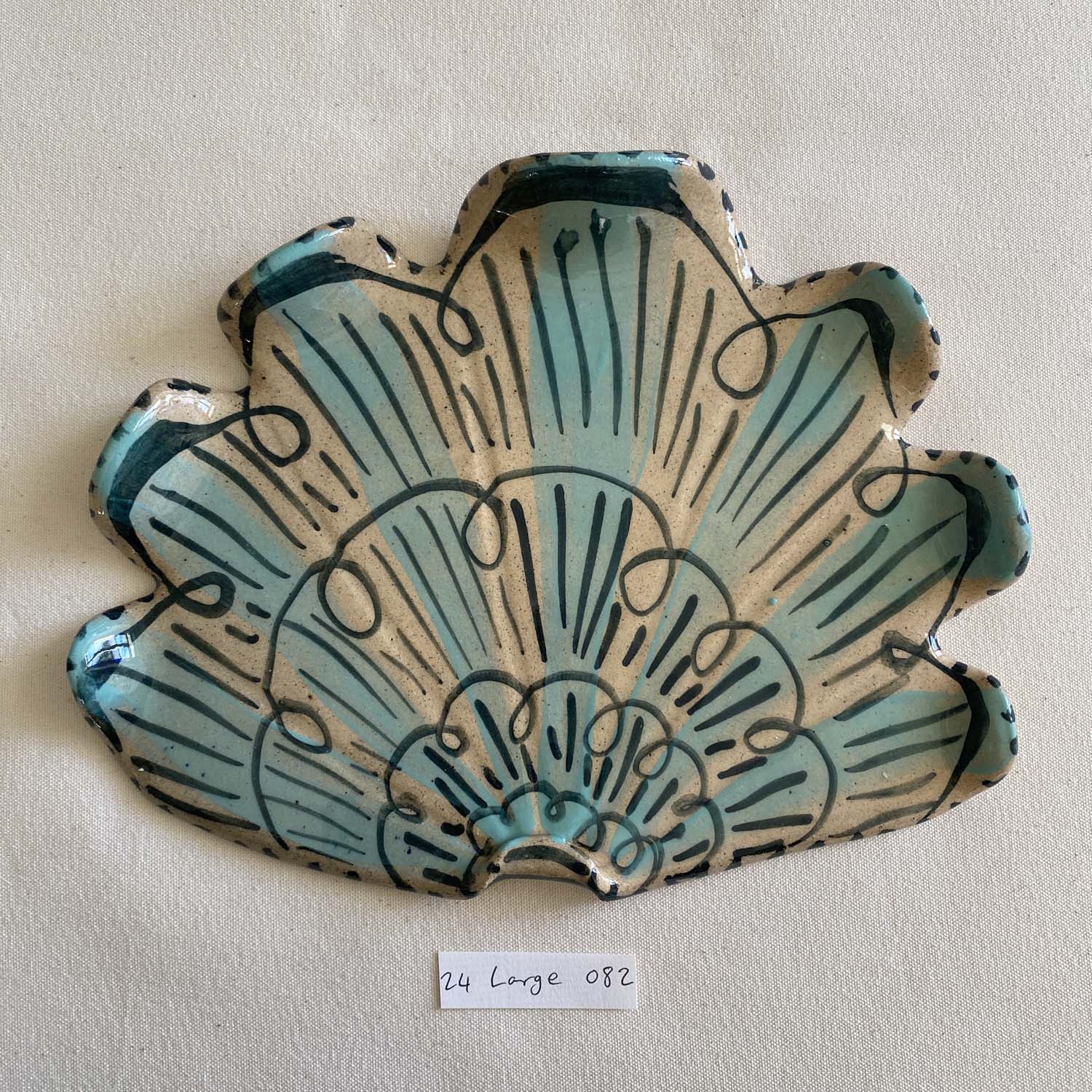 24 large shell 082
