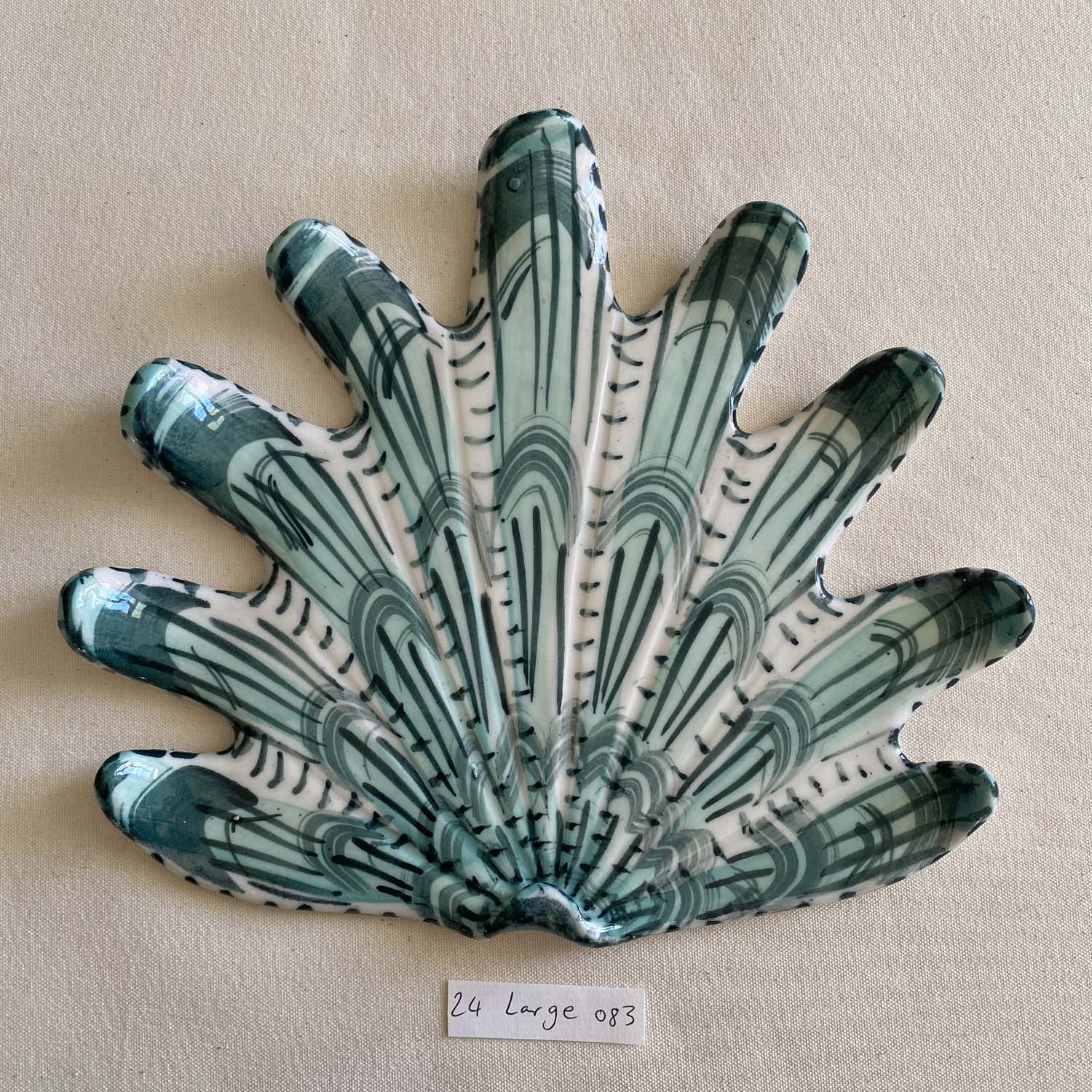 24 large shell 083