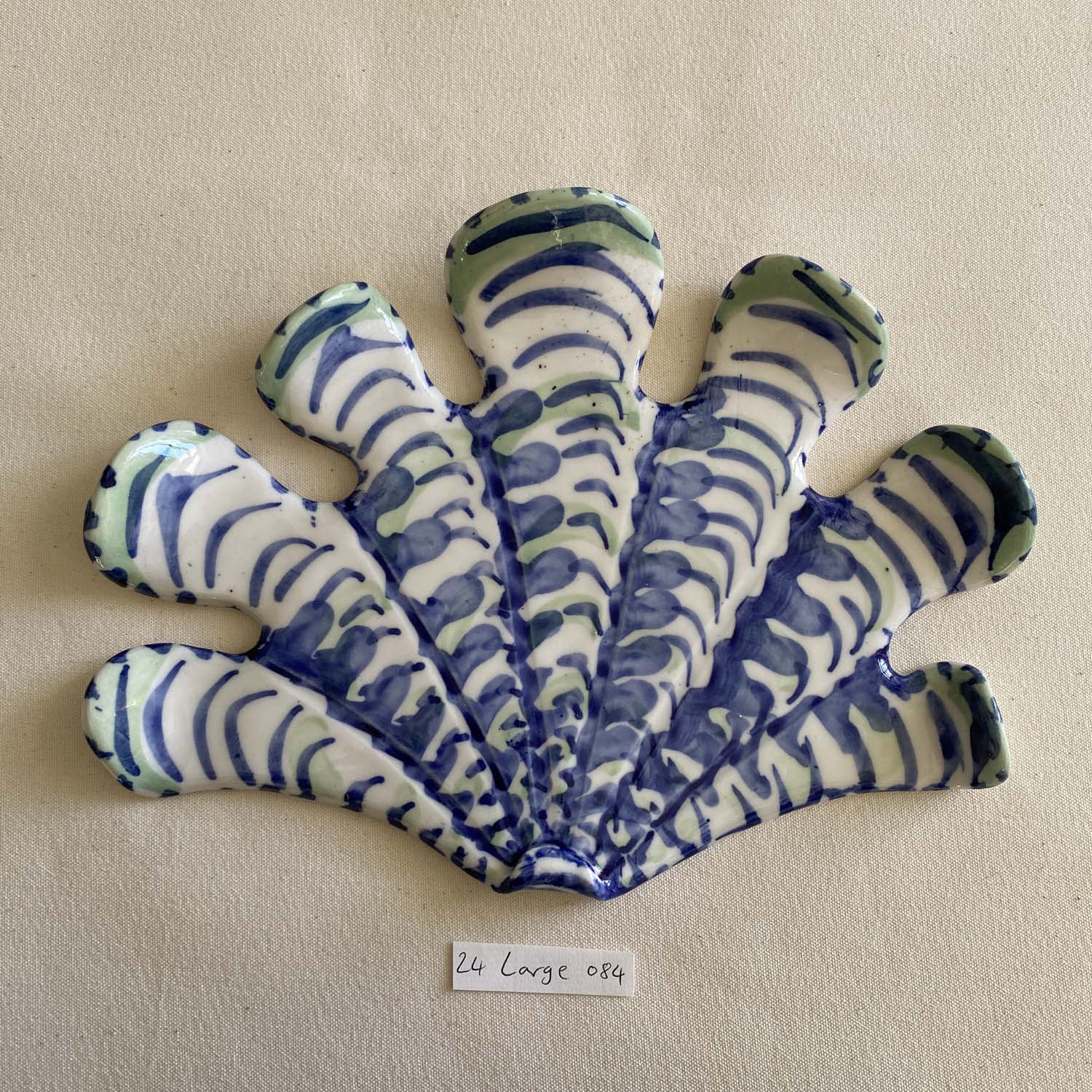 24 large shell 084