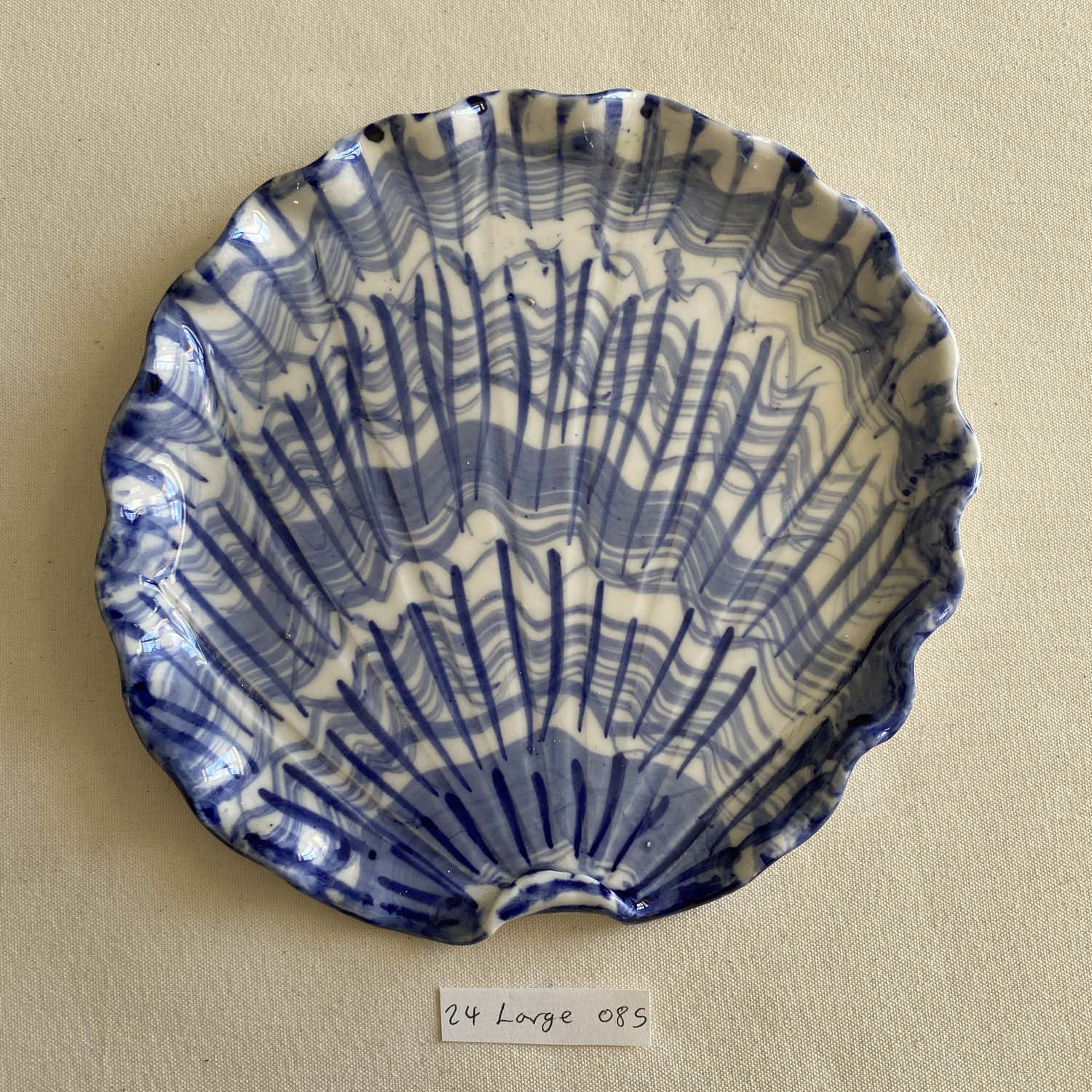 24 large shell 085