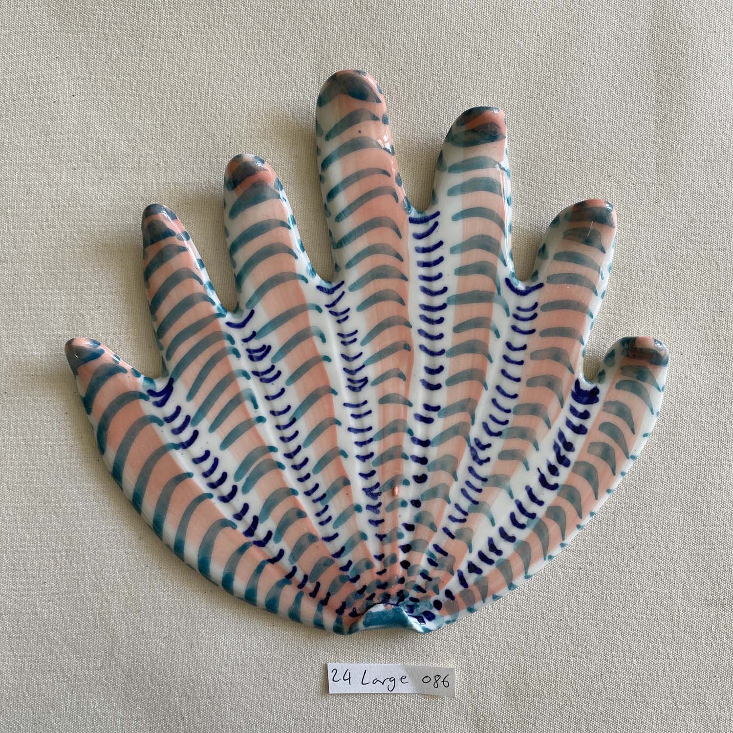 24 large shell 086
