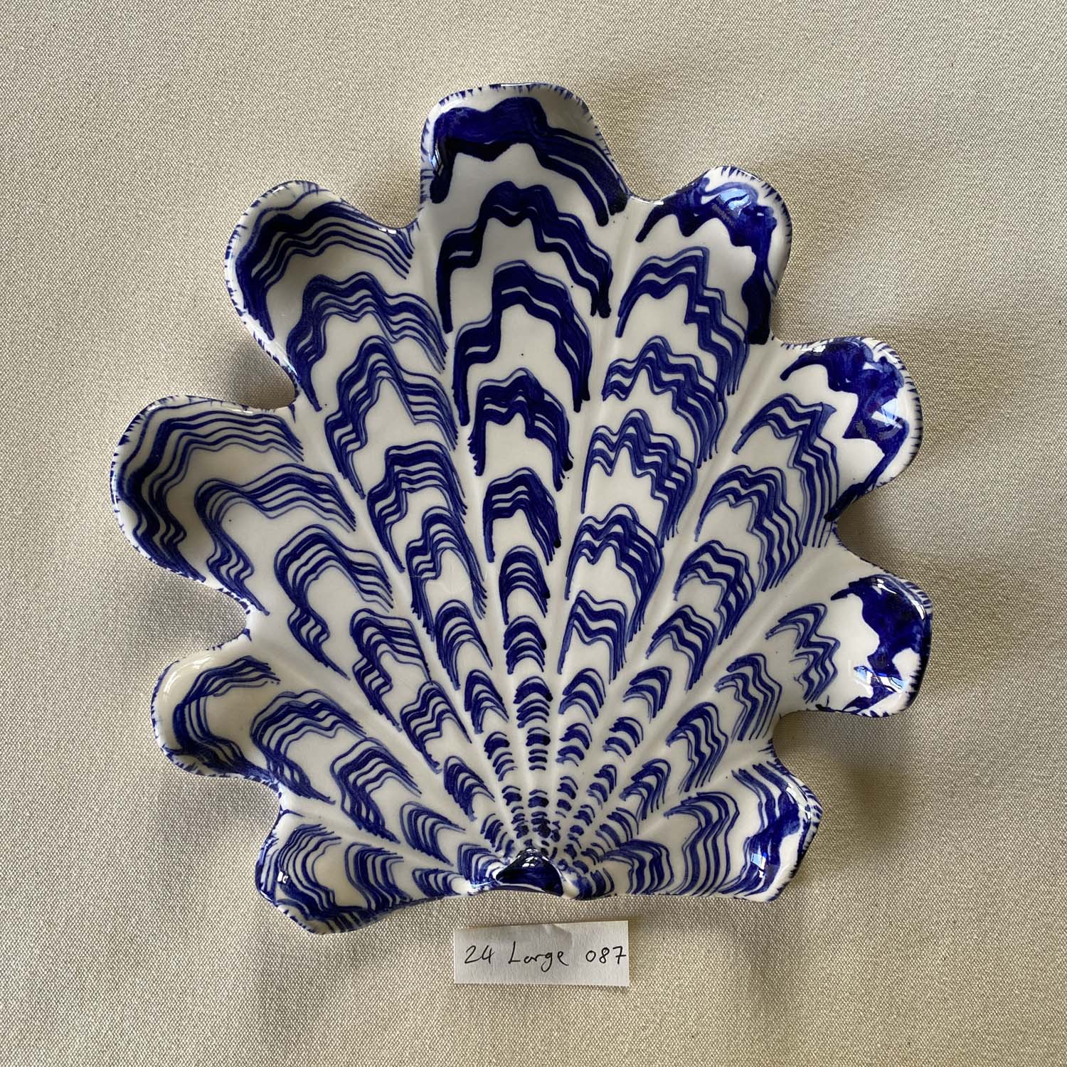 24 large shell 087