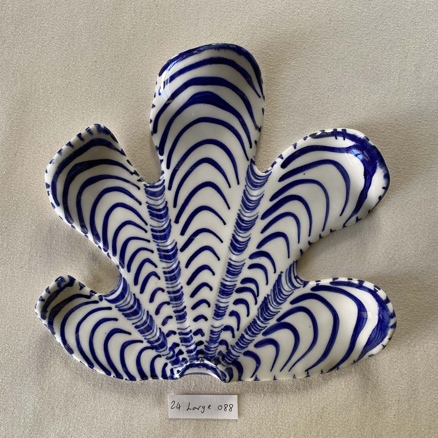 24 large shell 088