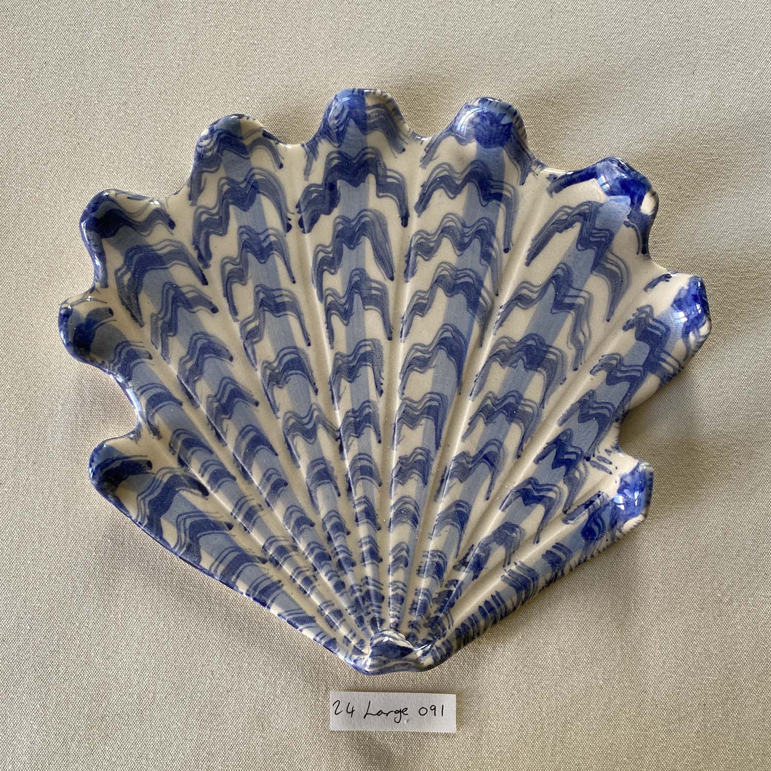 24 large shell 091