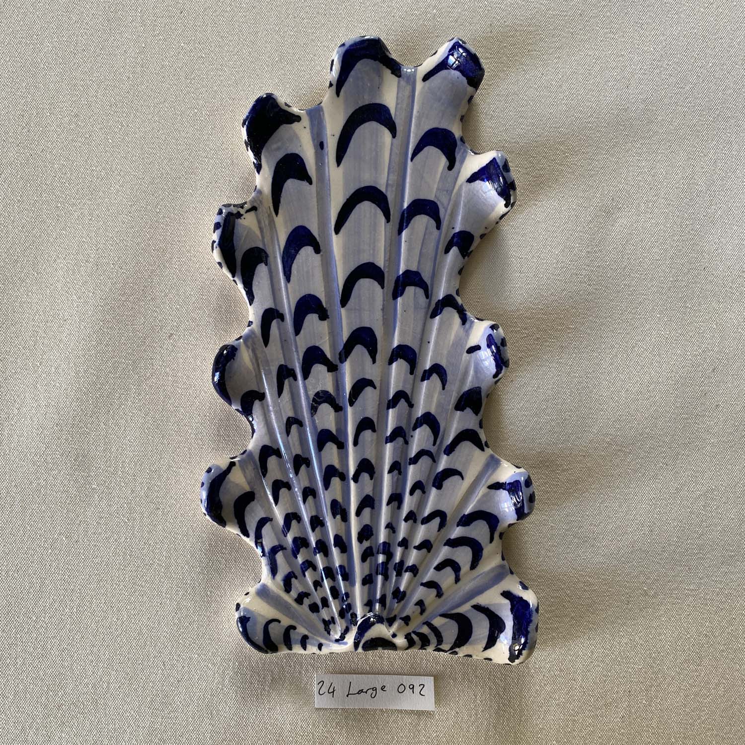 24 large shell 092