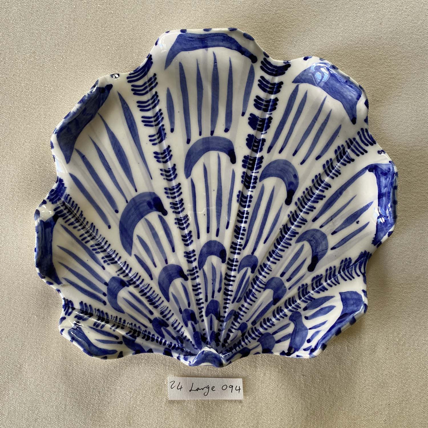 24 large shell 094