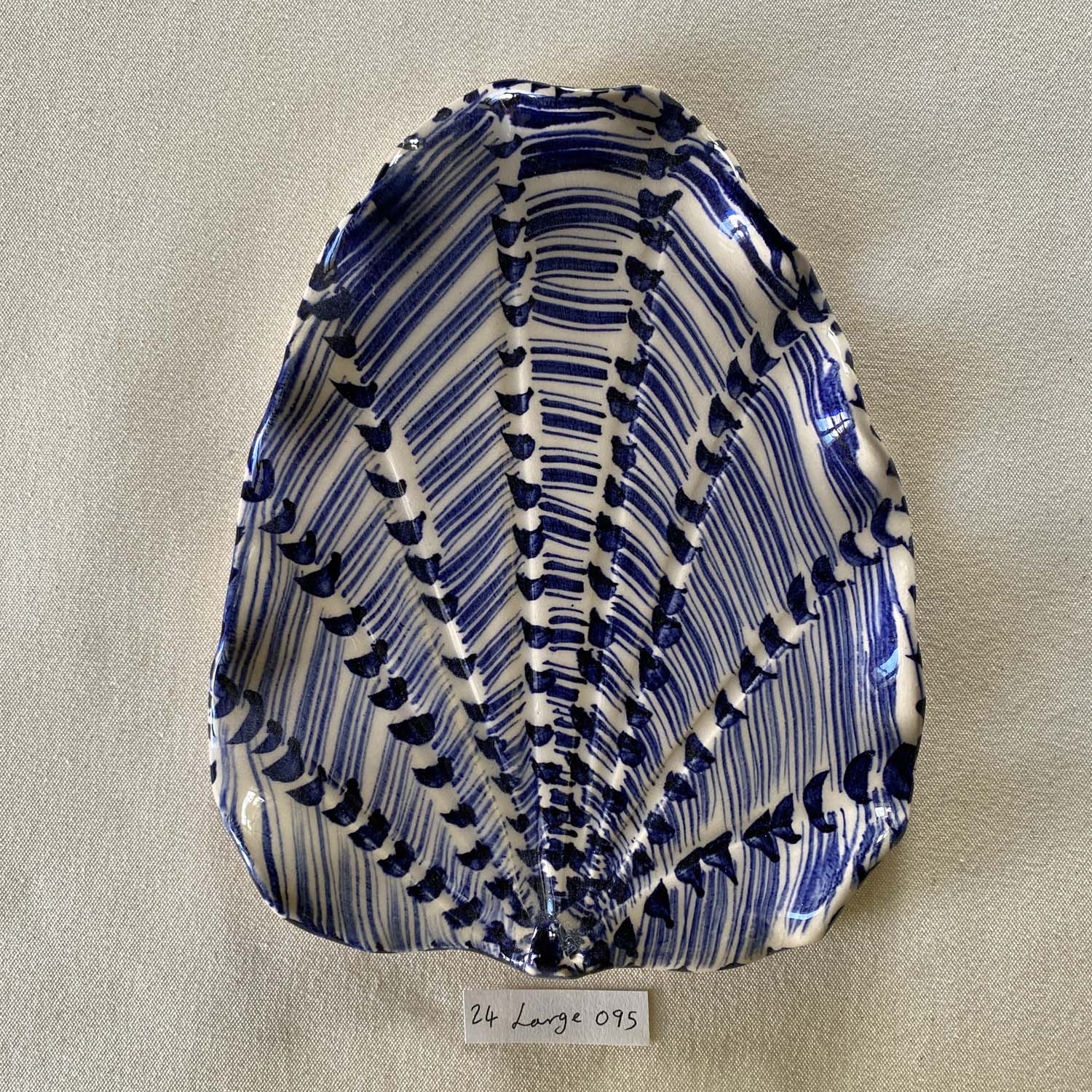 24 large shell 095