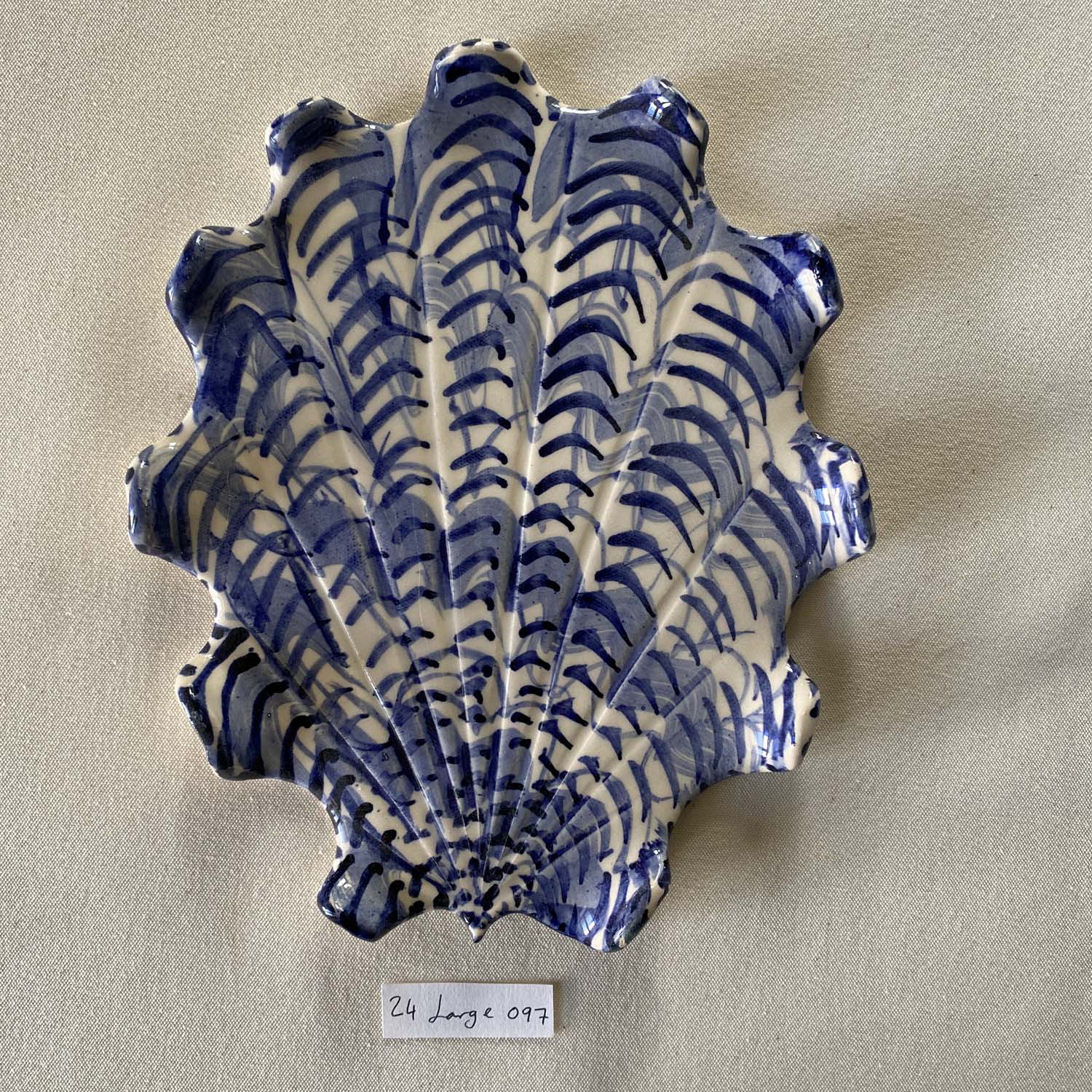 24 large shell 097