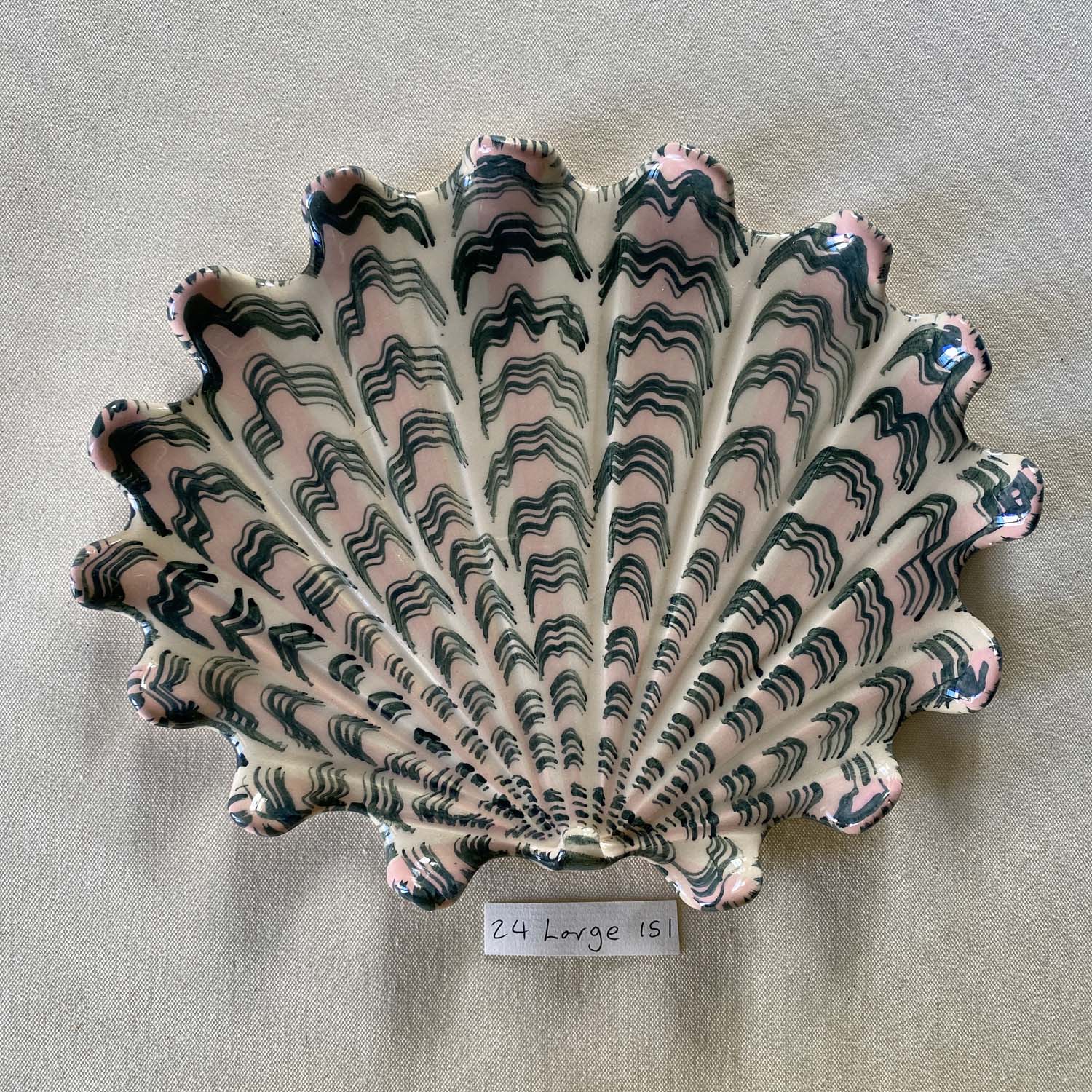 24 large shell 151