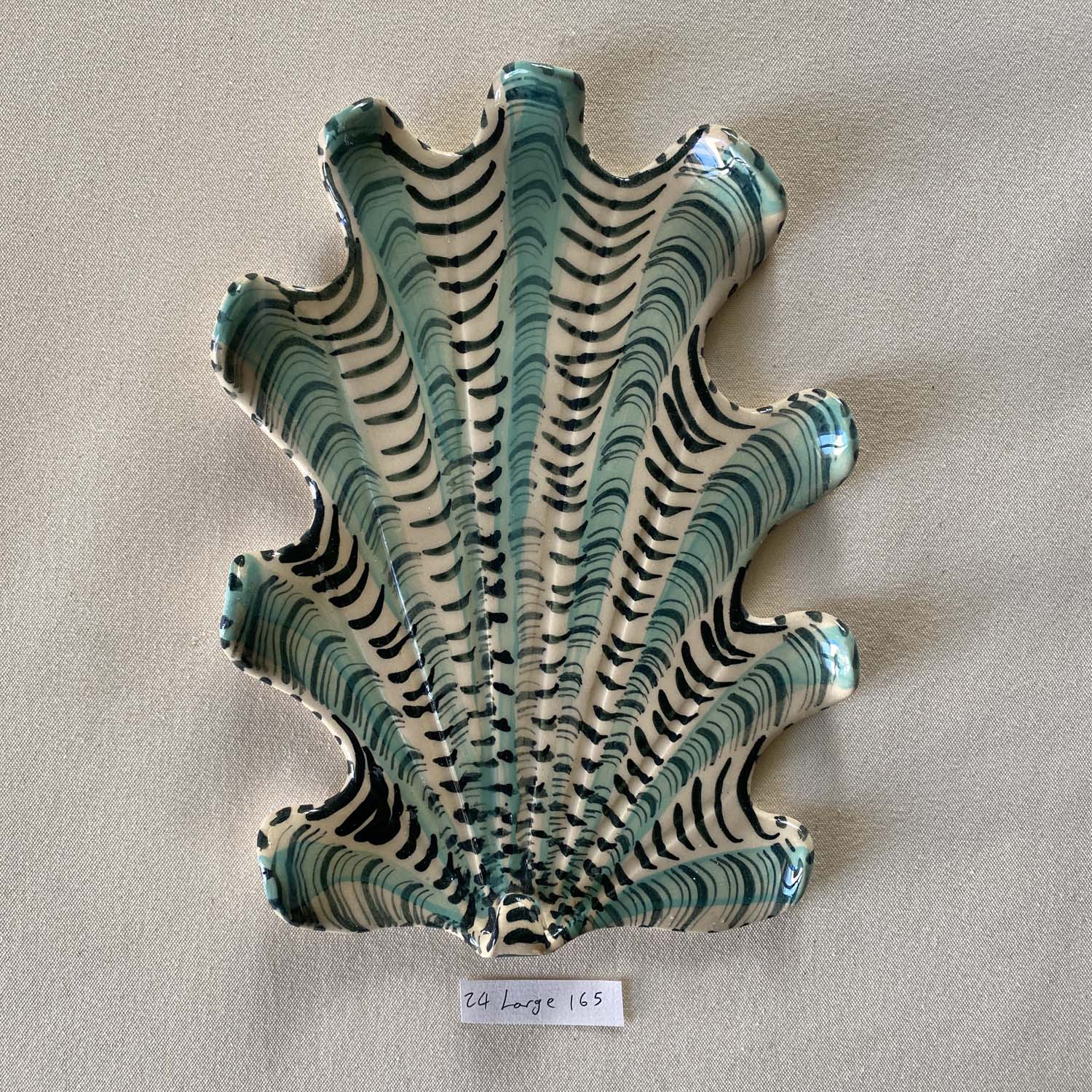 24 large shell 165