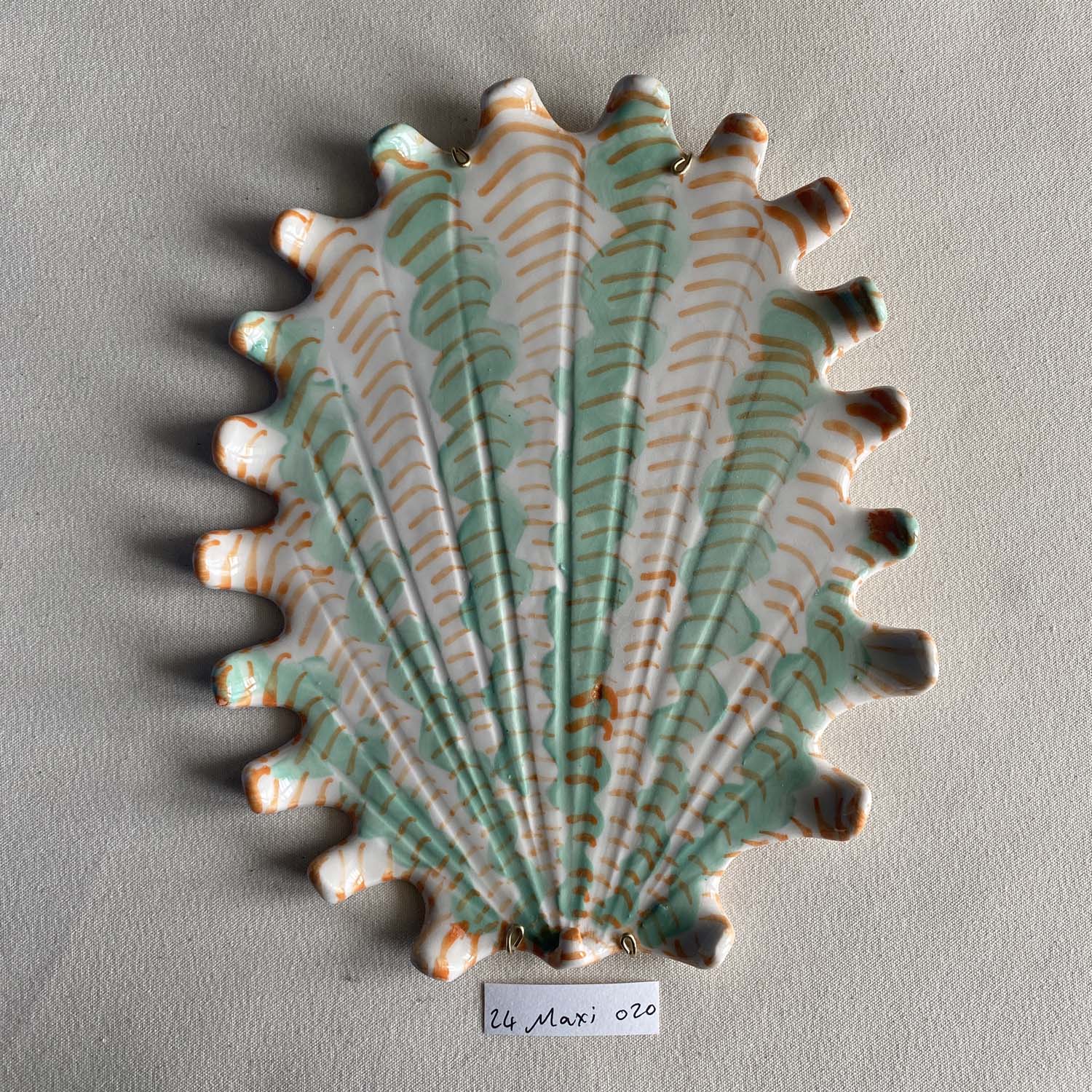 24 maxi shell 020