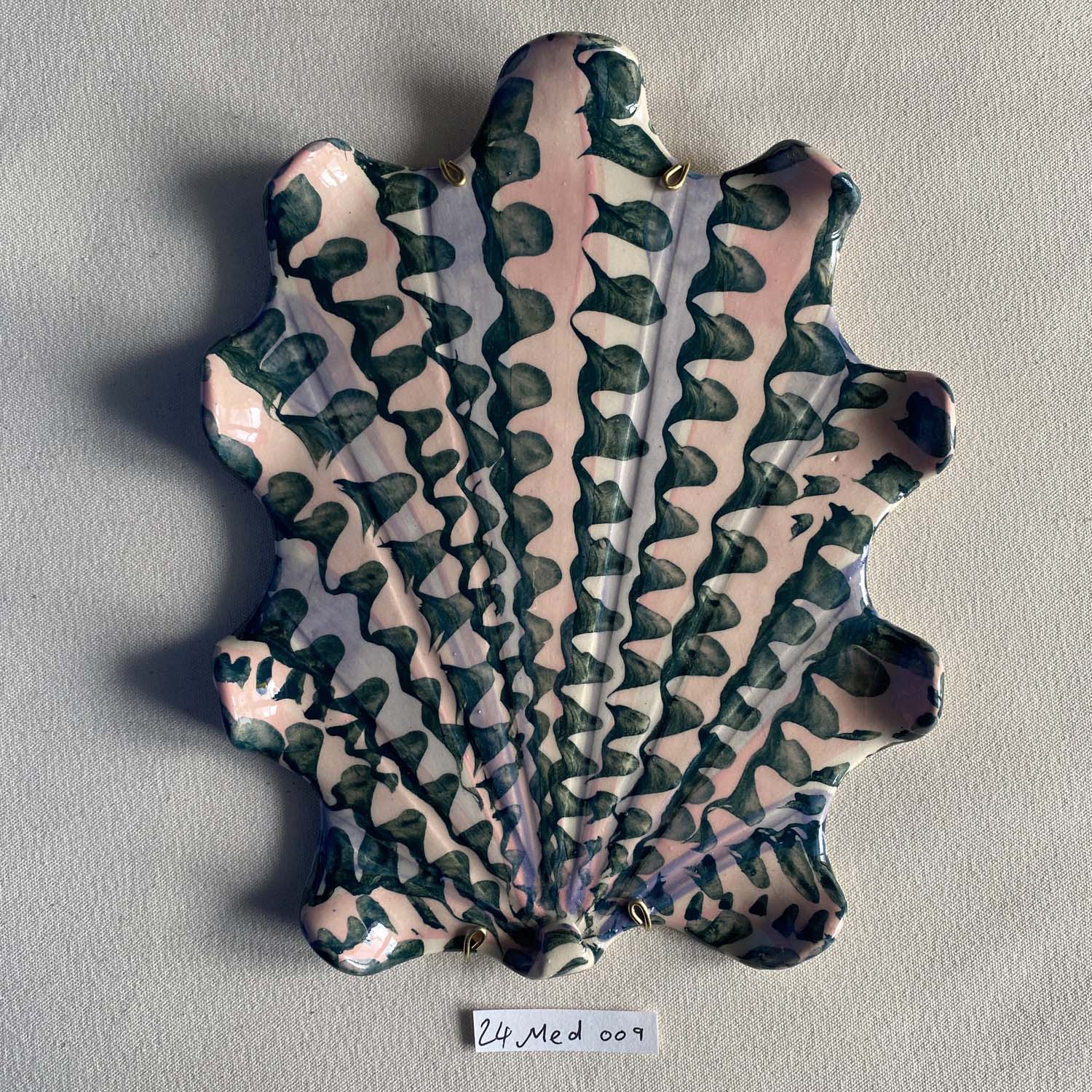 24 medium shell 009