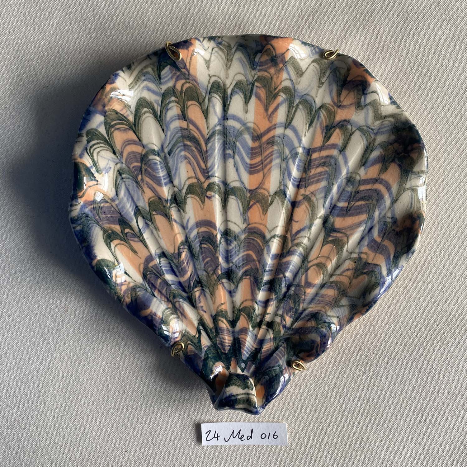 24 medium shell 016