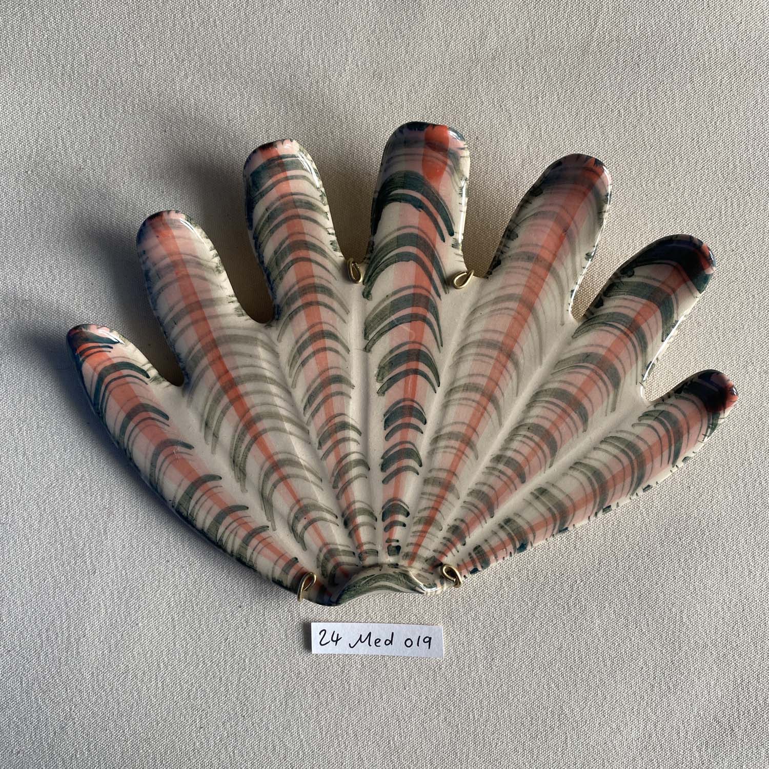 24 medium shell 019