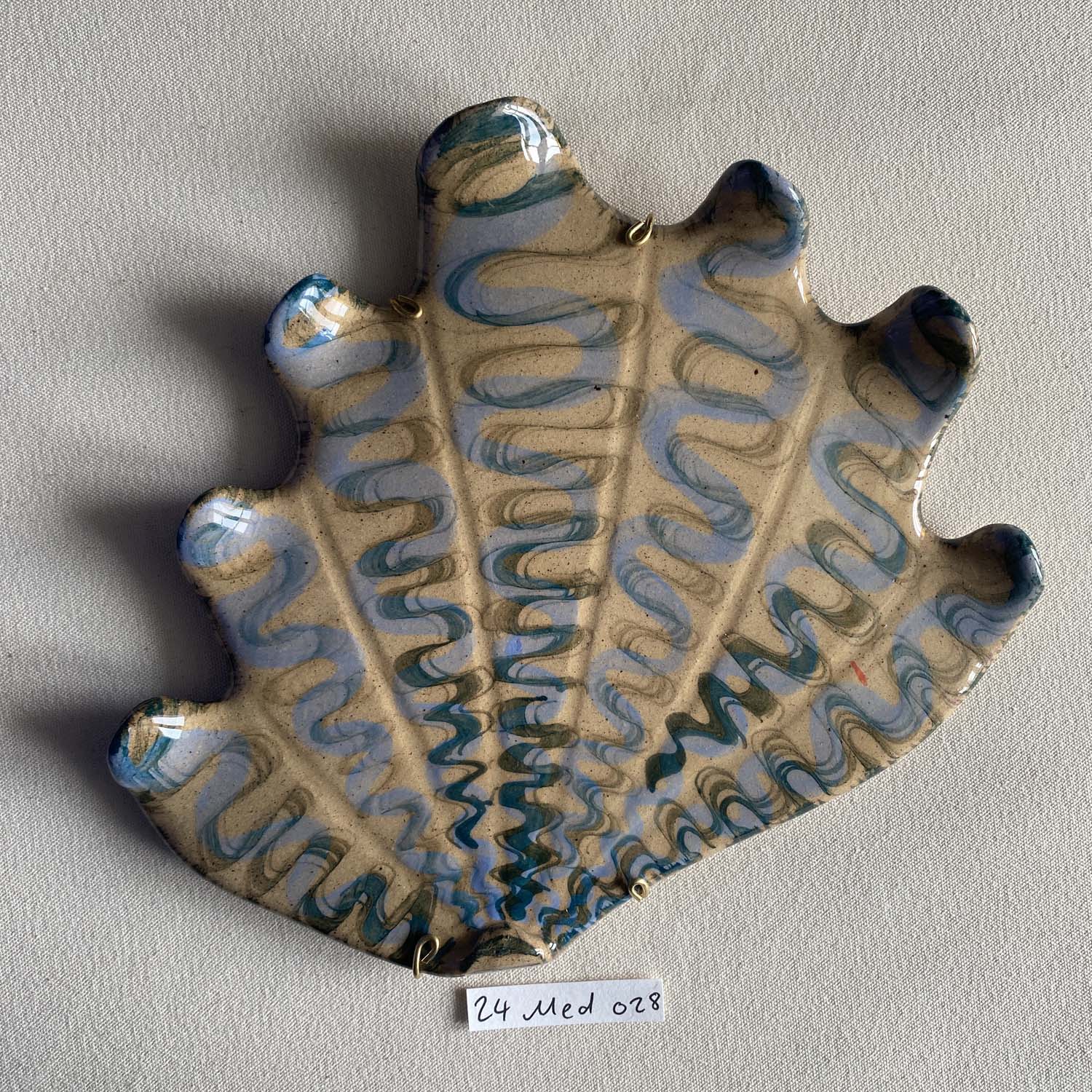 24 medium shell 028