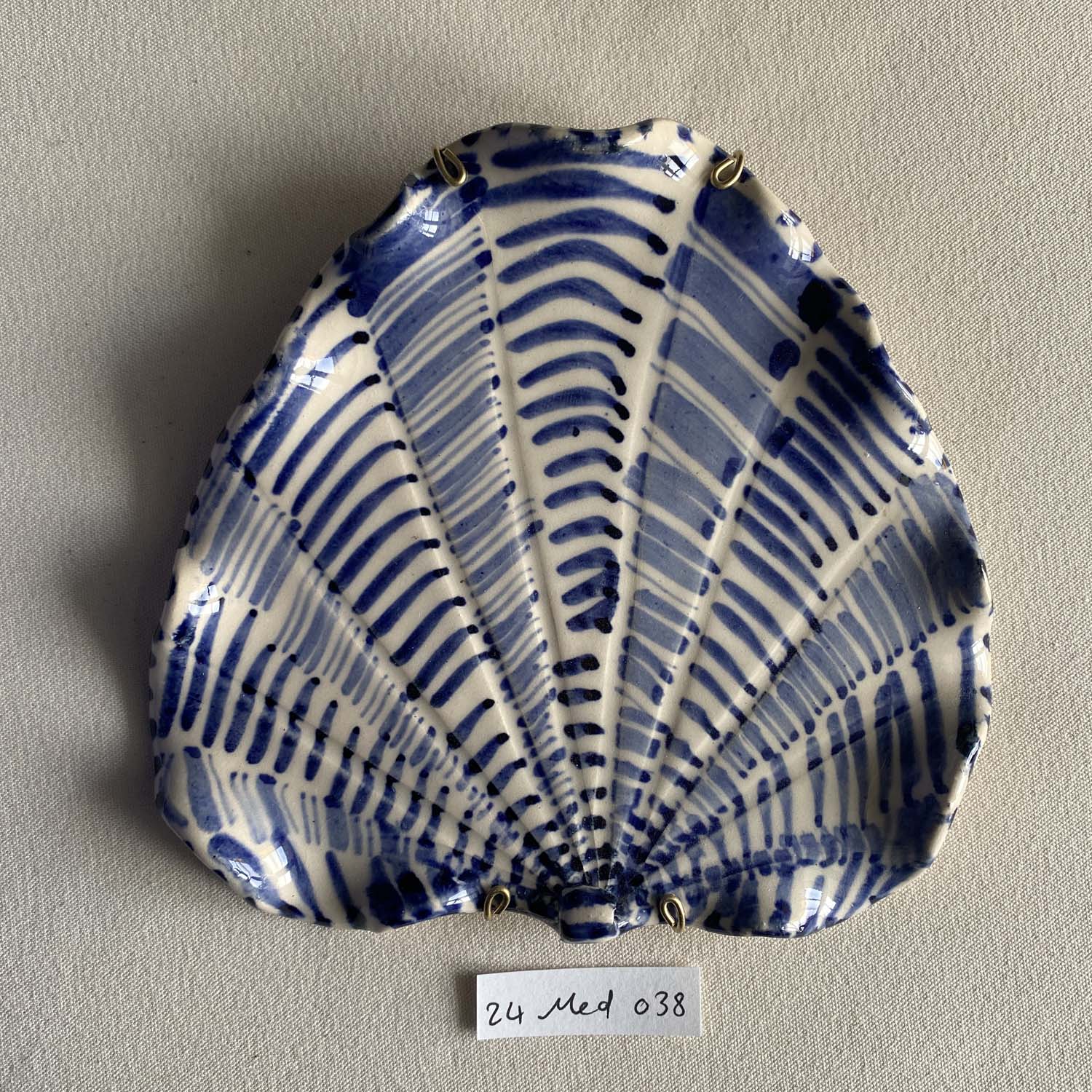 24 medium shell 038