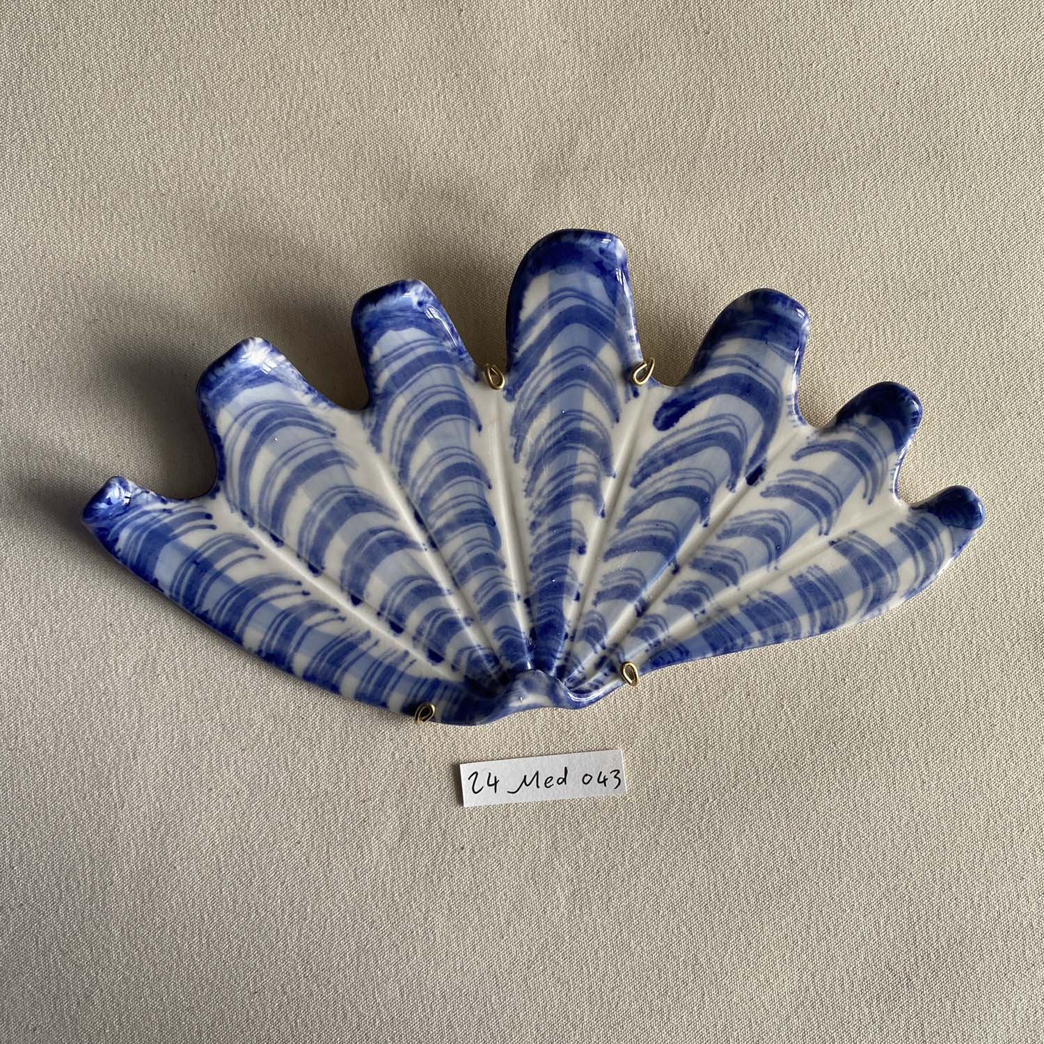 24 medium shell 043